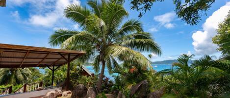 A covered outdoor area with a view of the ocean, palm trees, and a building with a roof.