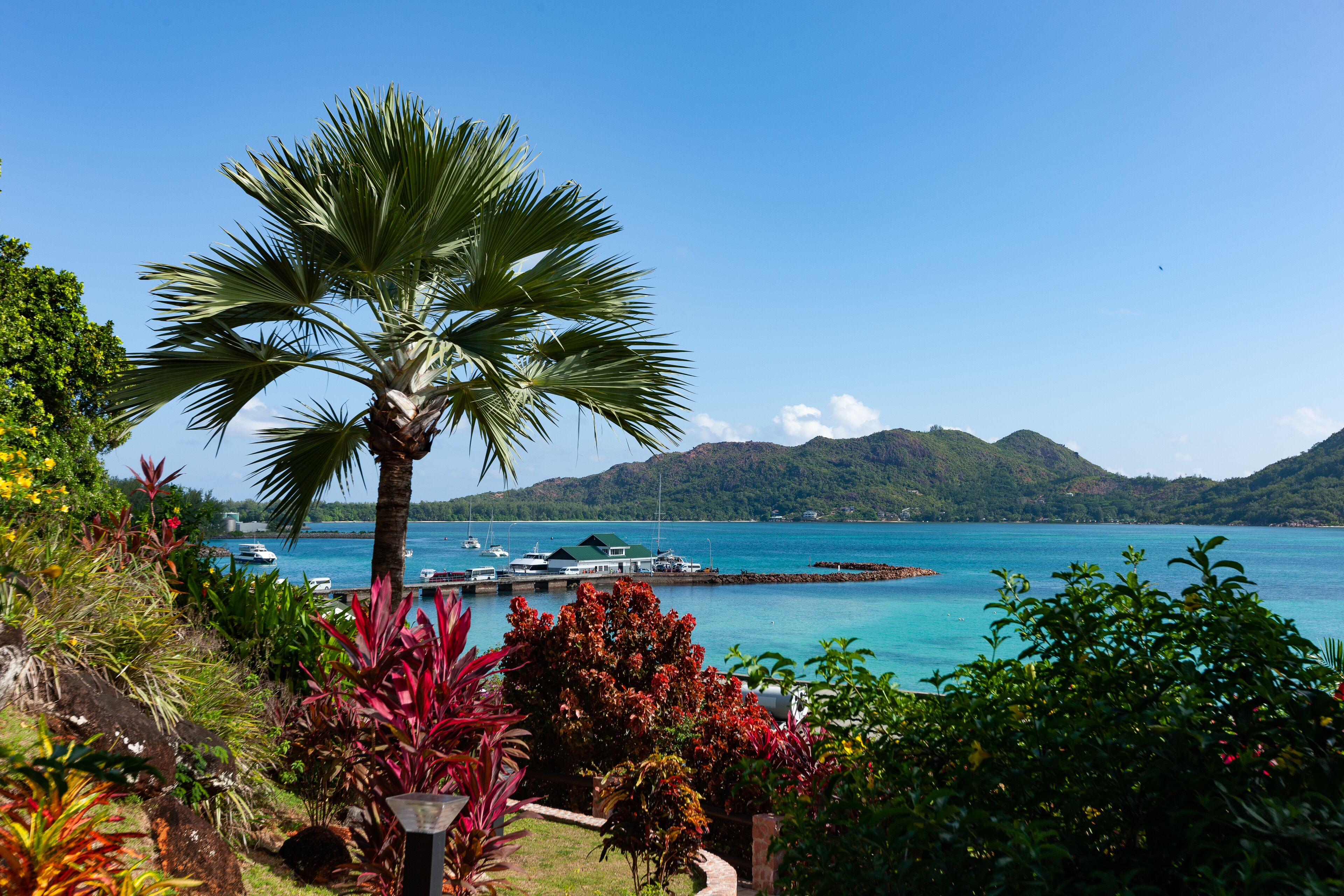 Paisaje costero con una palmera, vegetación exuberante y una vista despejada del mar y embarcaciones.