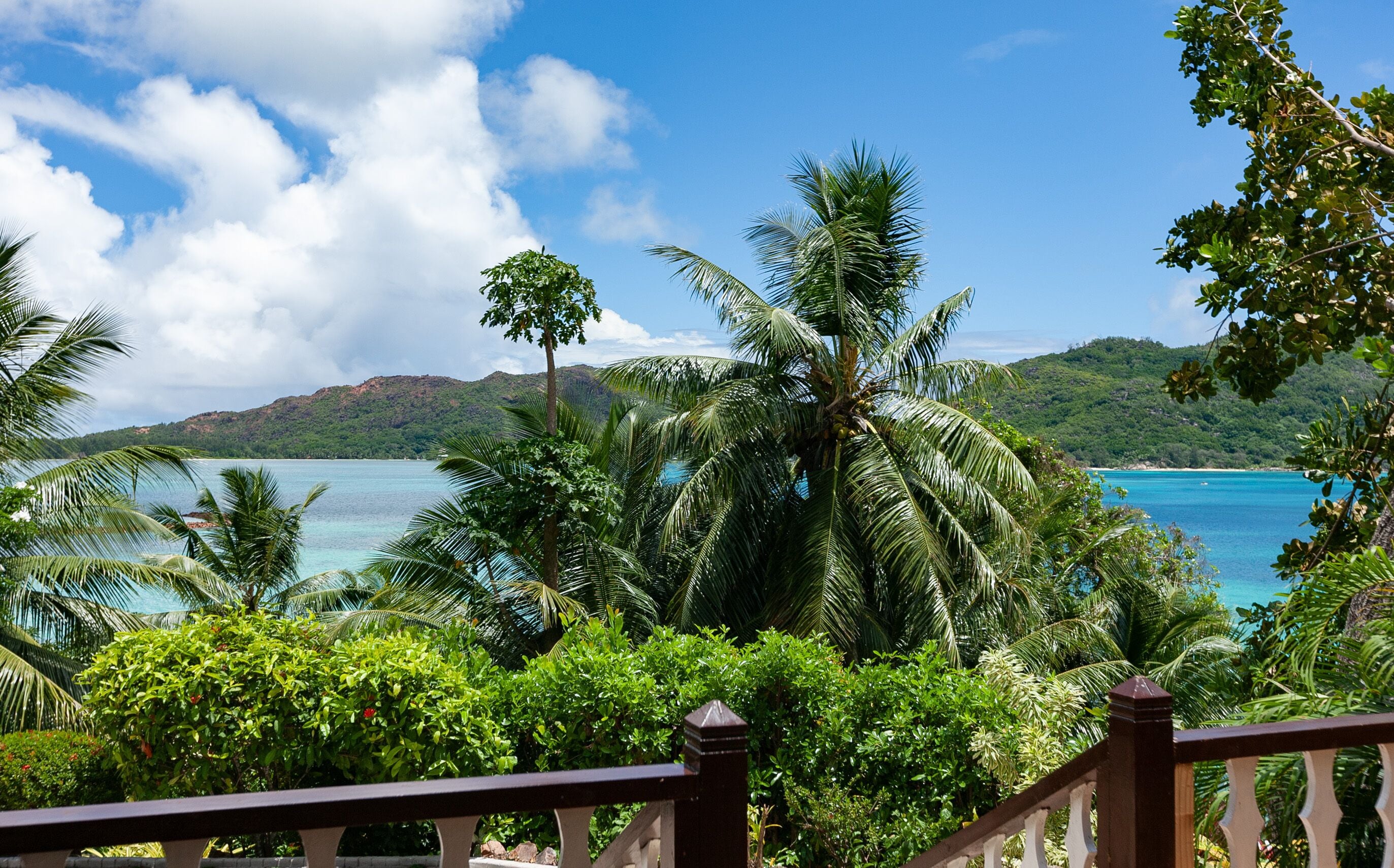 Un paisaje tropical con vista a un mar azul cristalino, palmeras y exuberante vegetación.