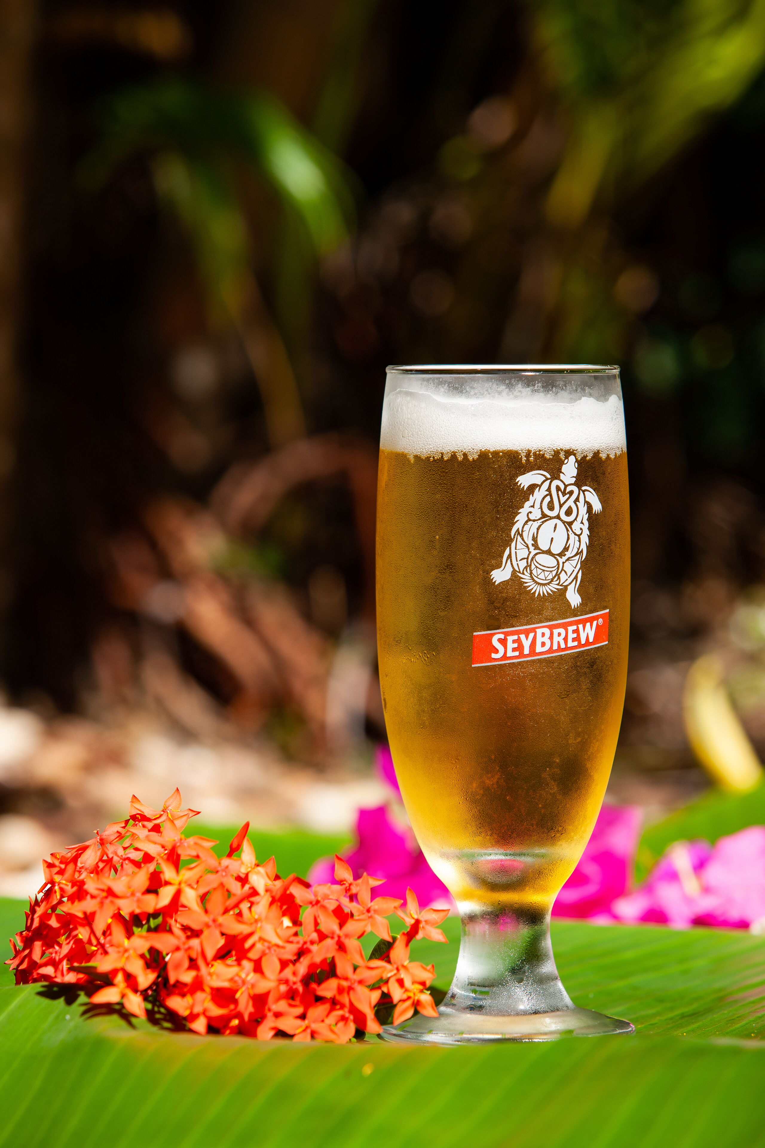 Un verre de bière orné d’un logo et d’un texte, posé sur une feuille verte parsemée de fleurs.