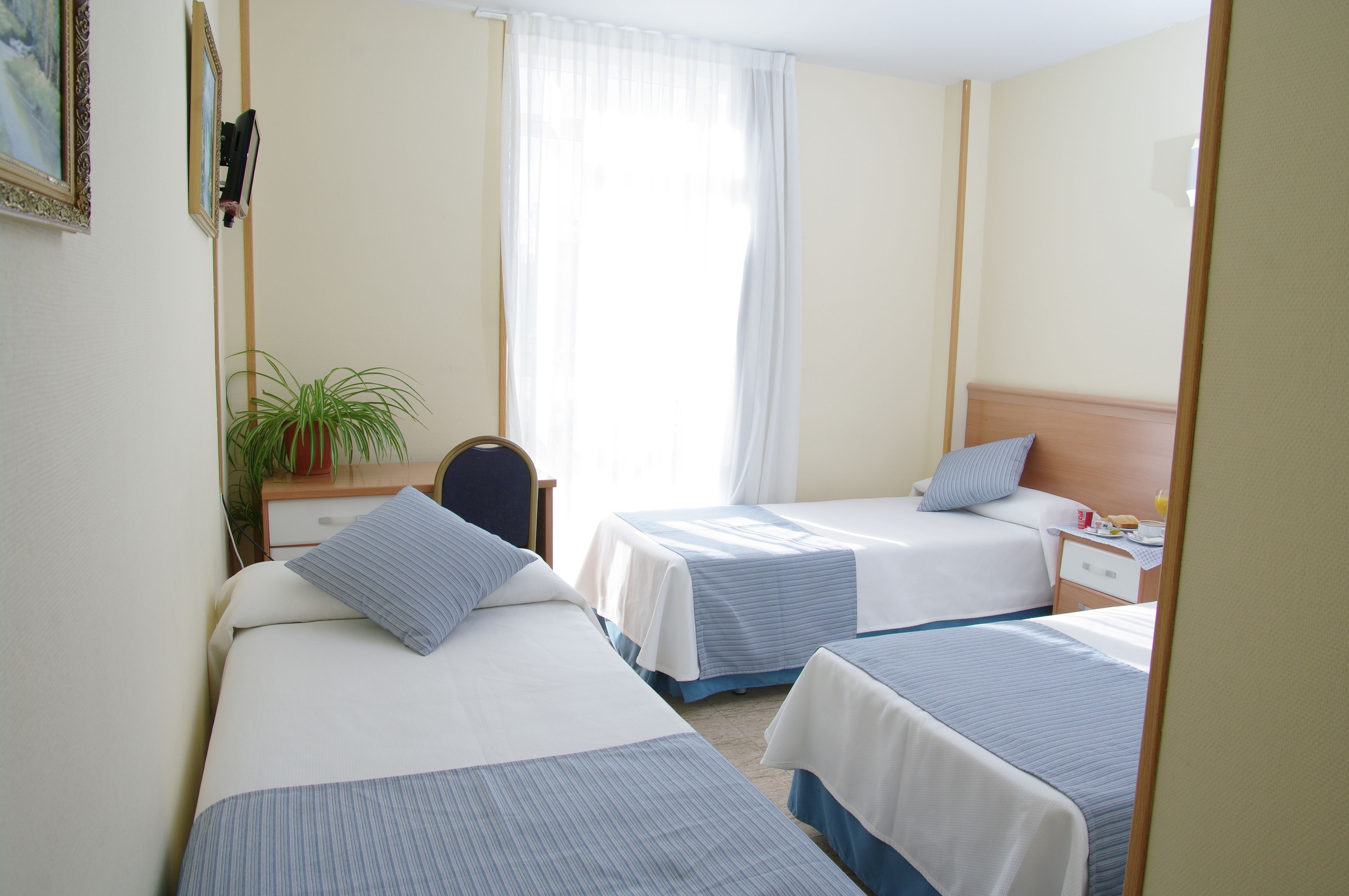Habitación de hotel con dos camas, un escritorio, una silla, una planta en maceta y una ventana con cortinas.