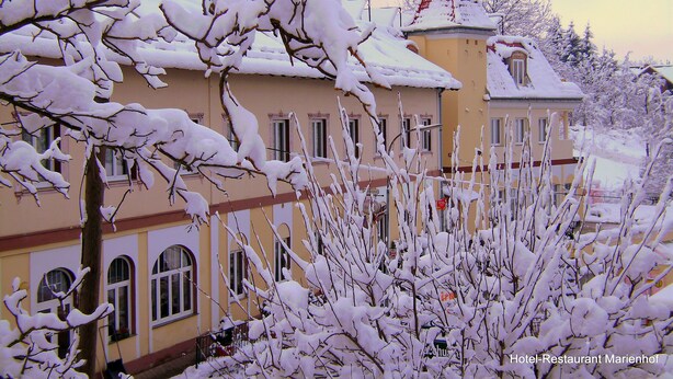 Un edificio con varias ventanas y techo rojo, rodeado de árboles cubiertos de nieve.