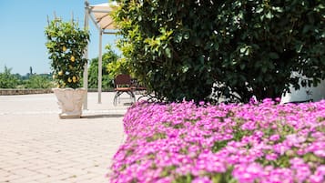 Jardín