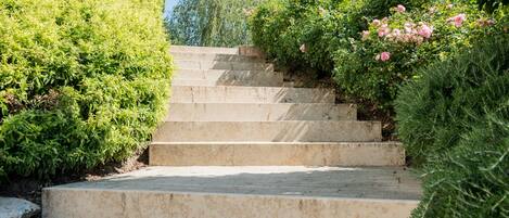 A set of stone steps leading up to a building, surrounded by lush greenery and flowering bushes.