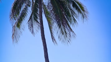 On the beach, white sand, sun loungers, beach umbrellas