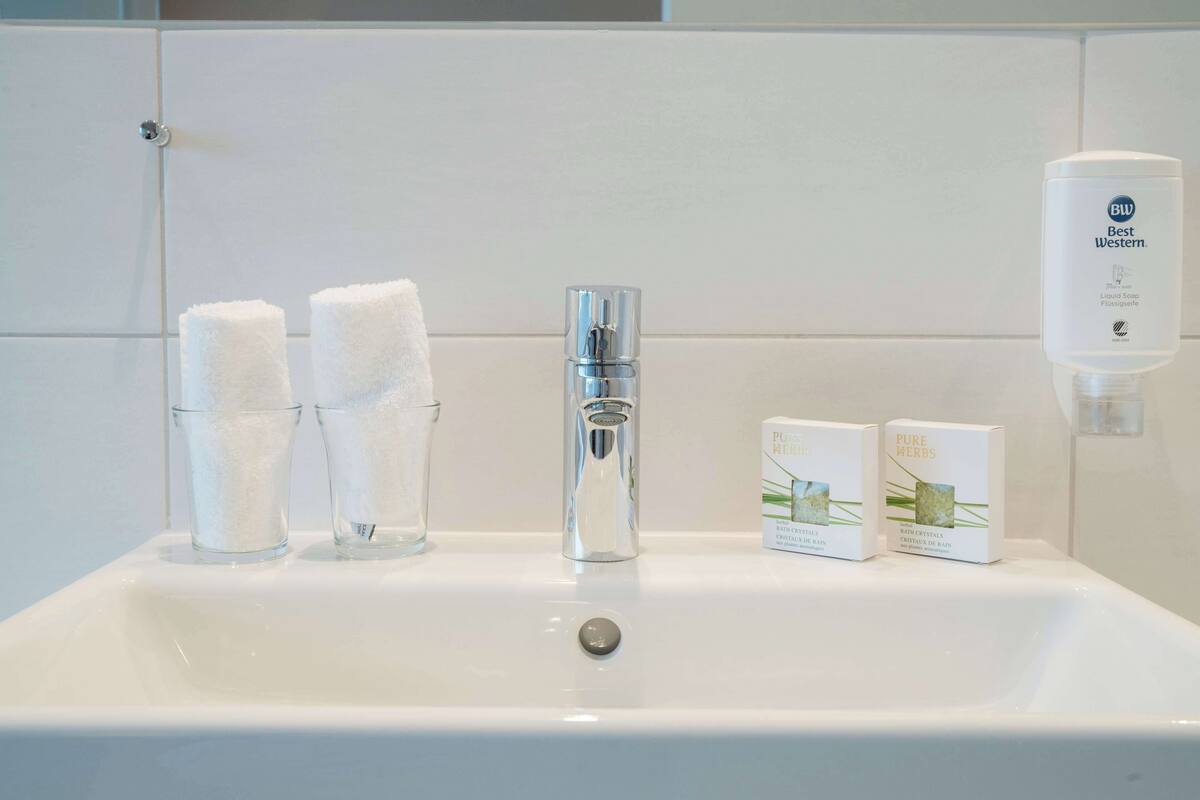 hair dryer, towels, soap, shampoo