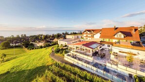 Un quartier résidentiel comprenant des maisons, un vignoble et un espace piscine.