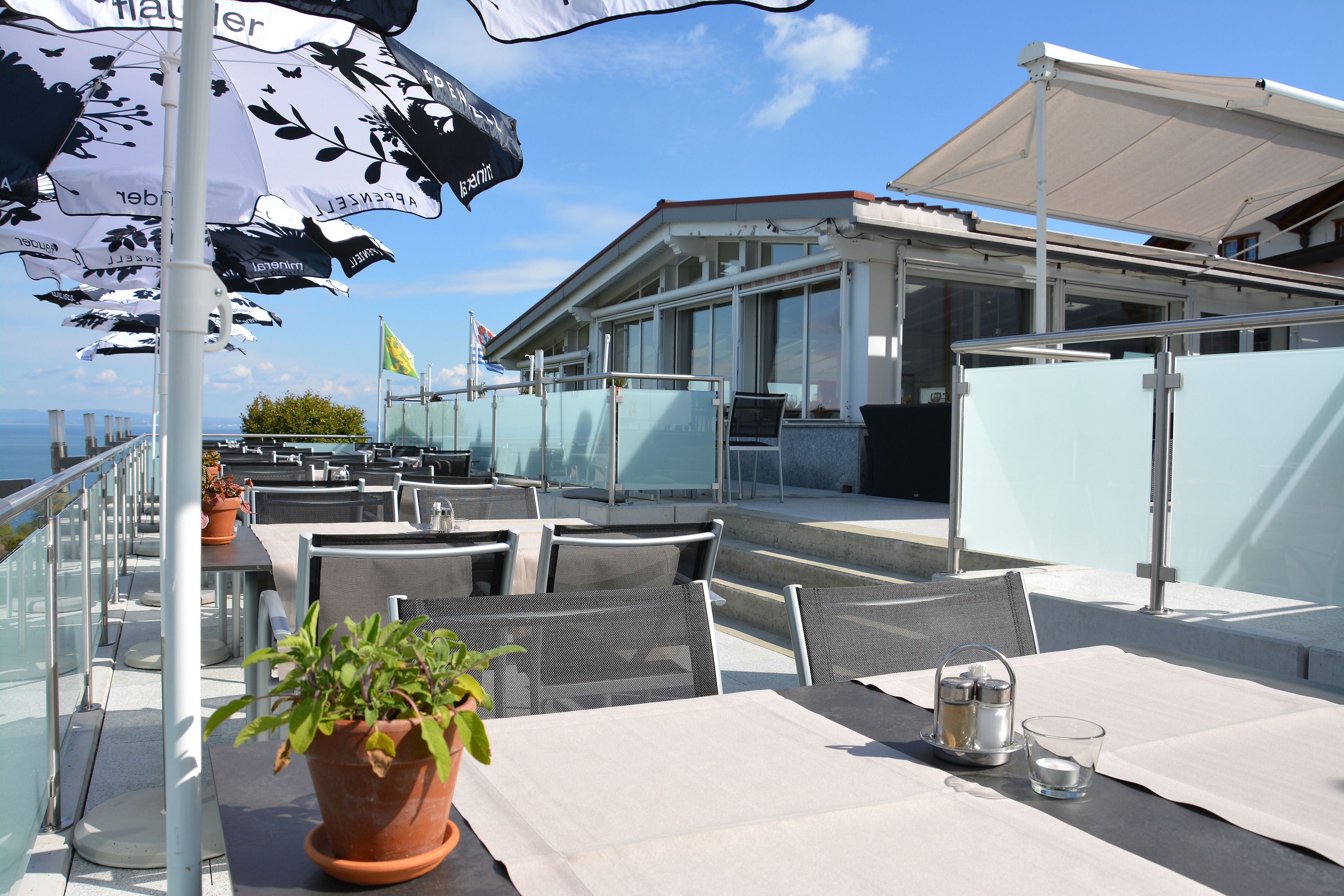 An outdoor seating area with tables and chairs, a potted plant, and umbrellas.