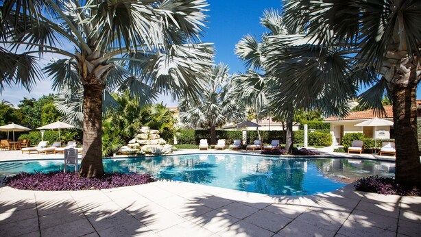 Area piscina con palme, poltroncine da relax e un elemento decorativo in pietra.