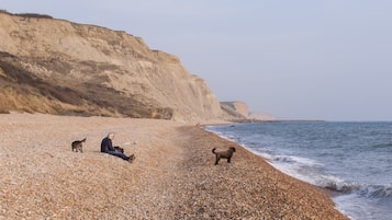 Beach nearby, white sand