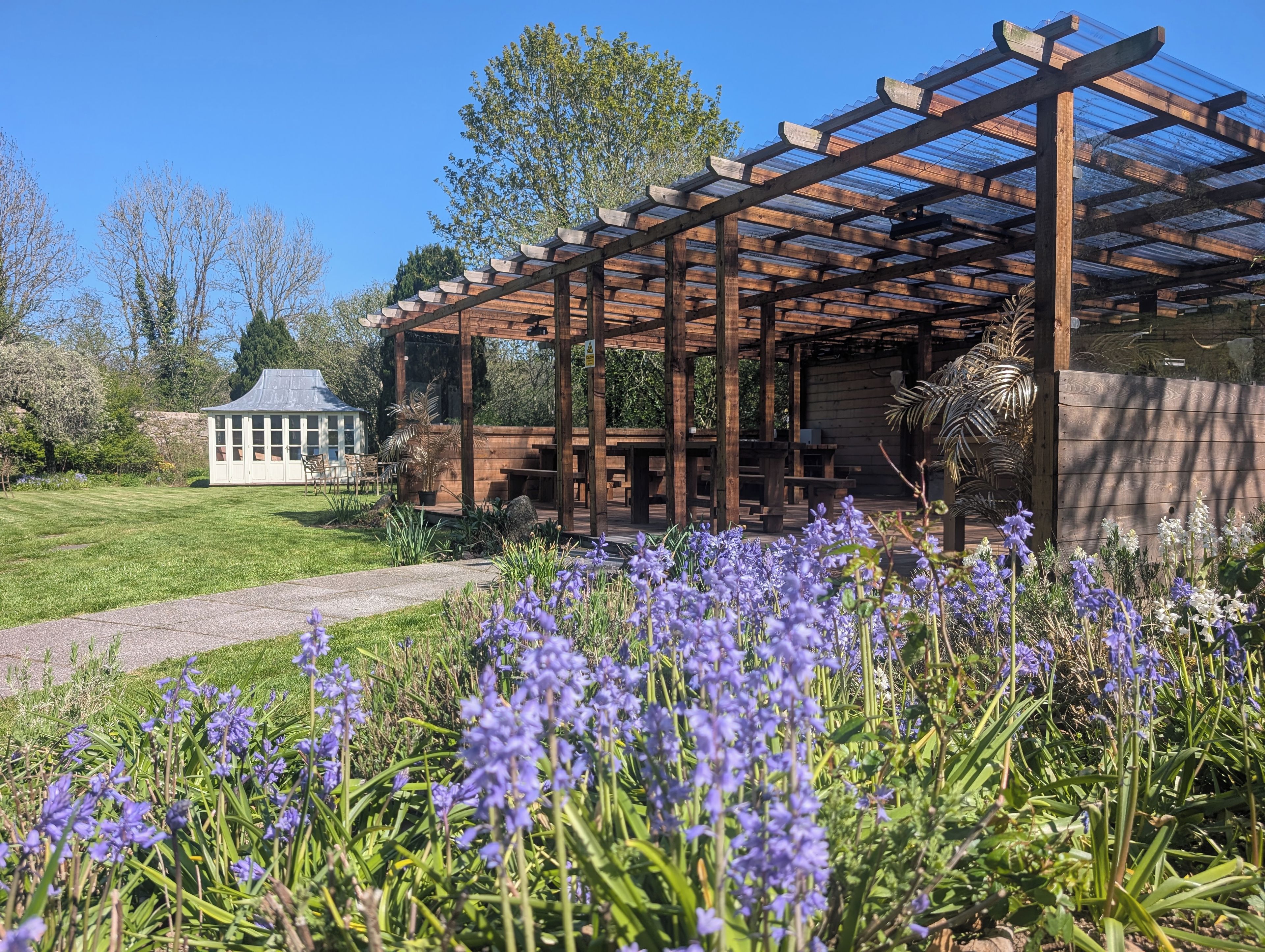 En pergola i træ med et glasoverdækning, omgivet af en have med lilla blomster.