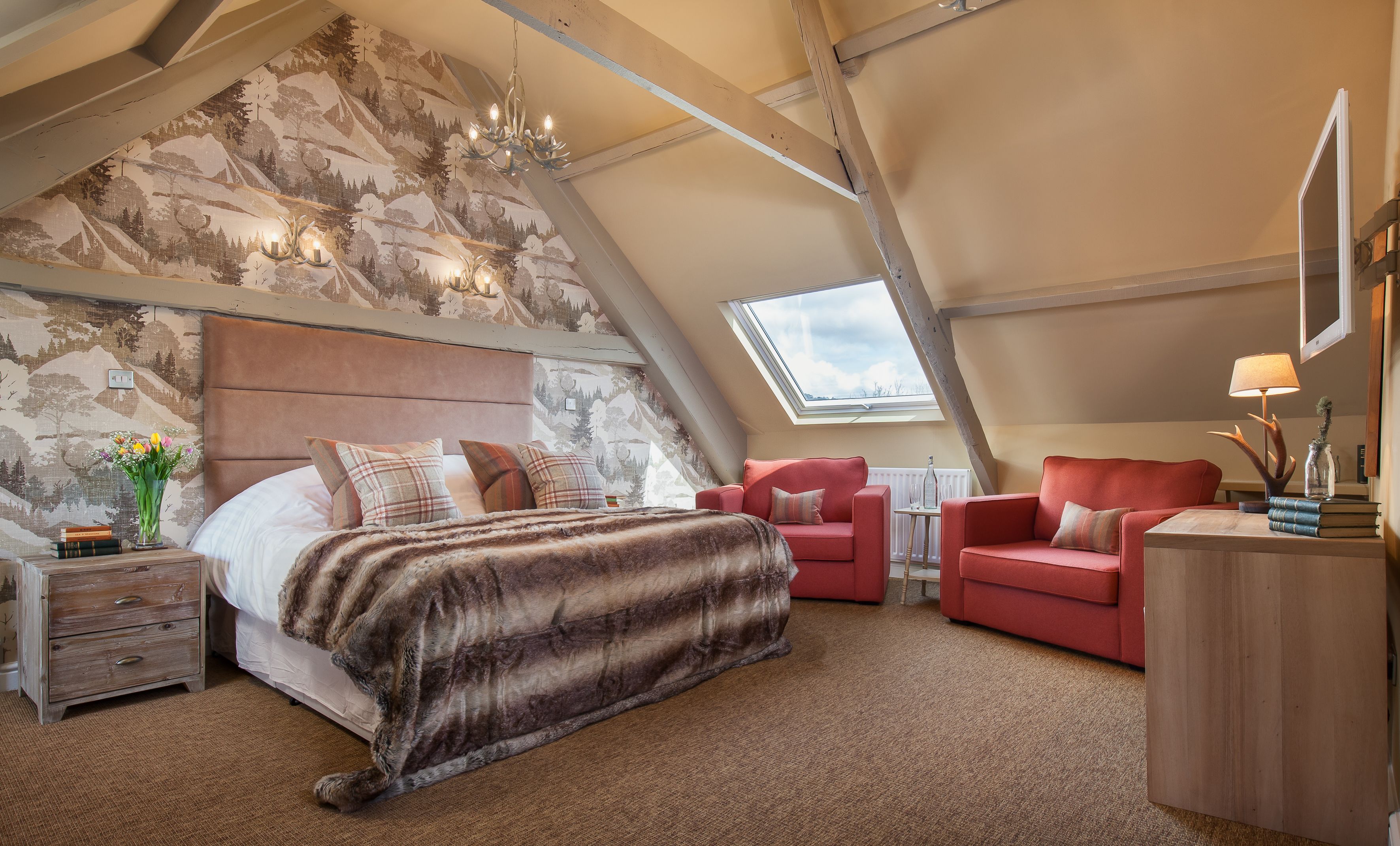 junior suite | free wifi, bed sheets