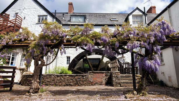 Unclassified image, 1 of 54, button - Mill End Hotel (Newton Abbot)