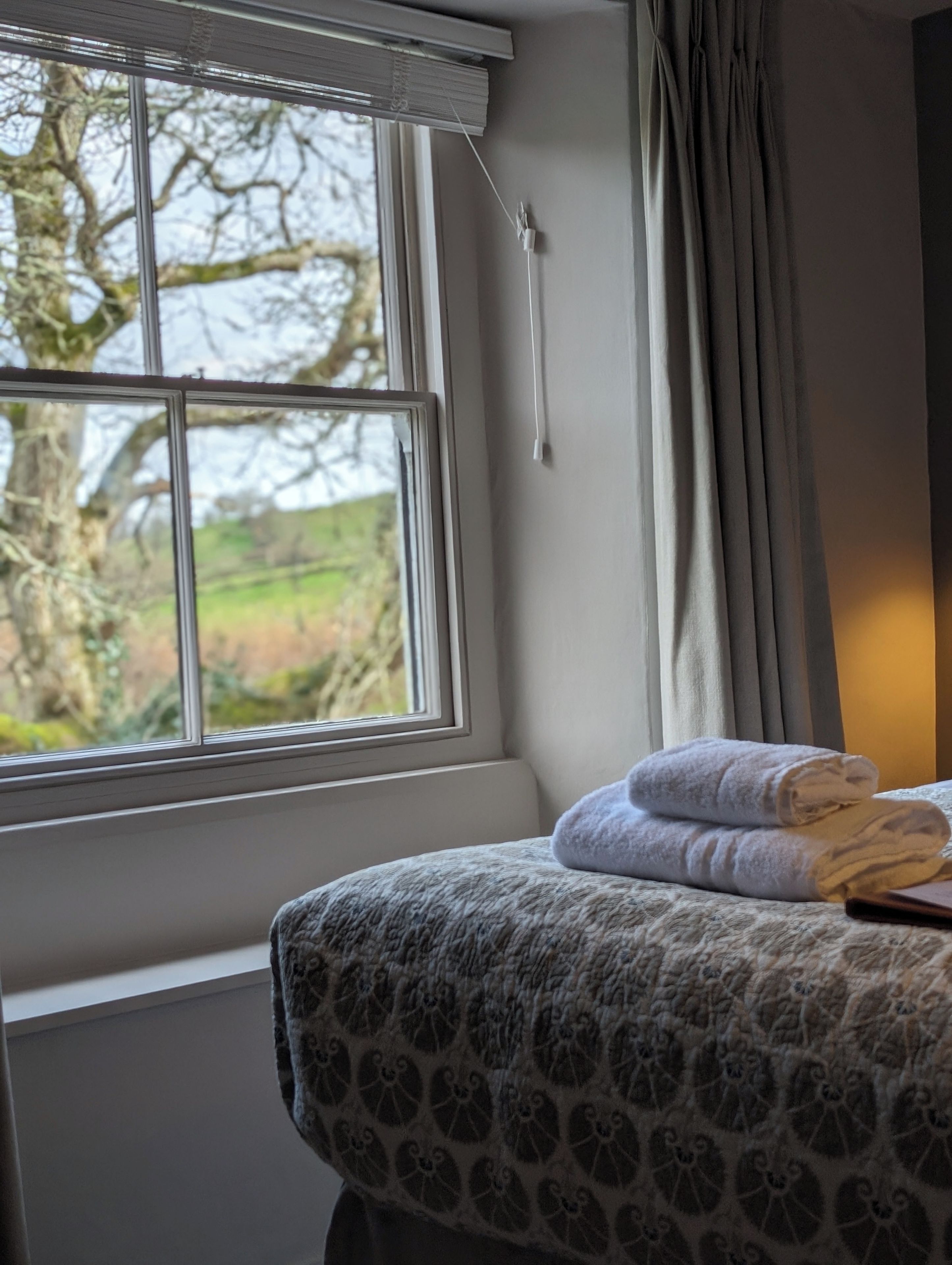 Une chambre d’hôtel avec un lit, une fenêtre donnant sur des arbres et une table de chevet avec des serviettes.