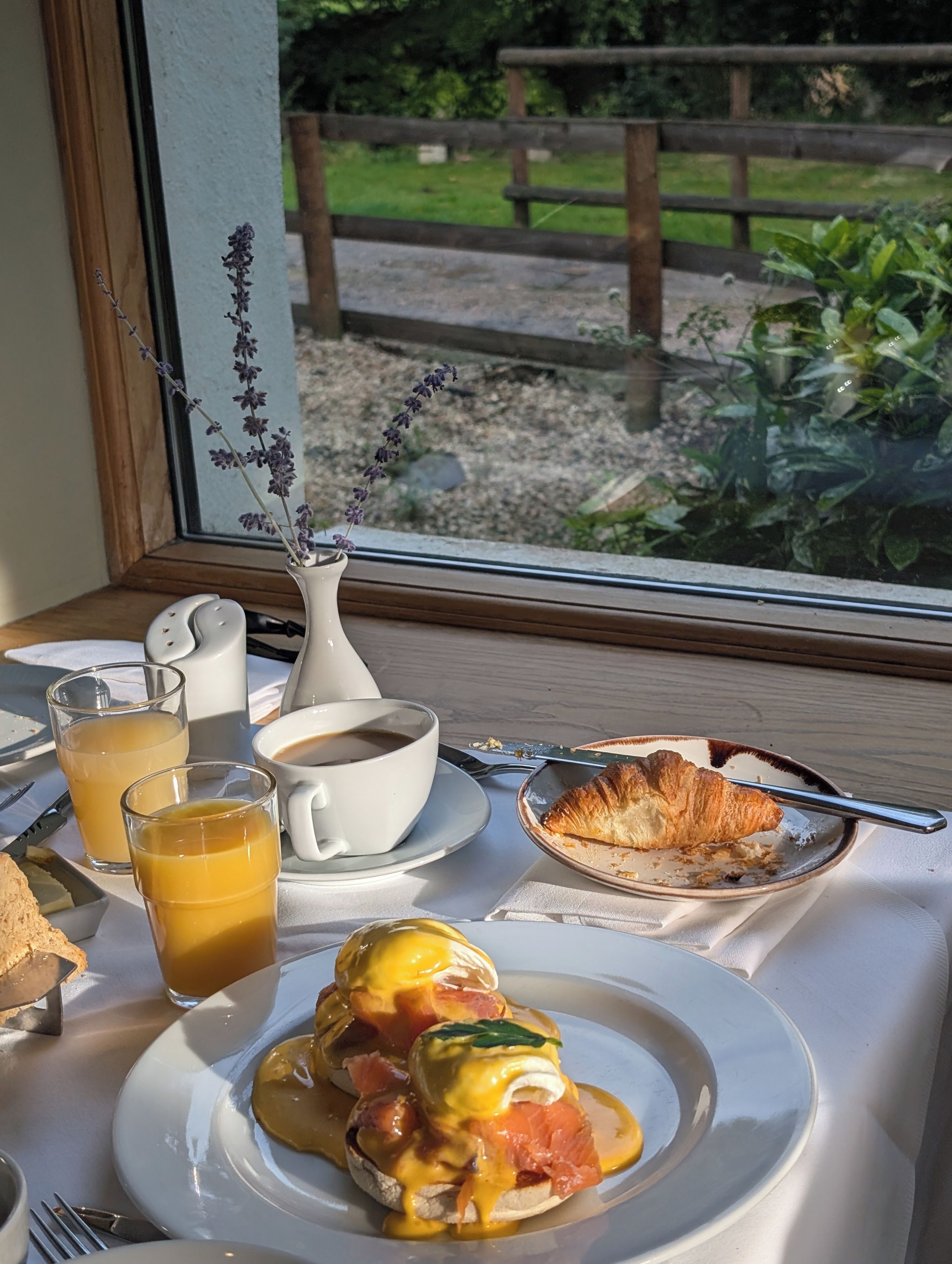 A breakfast setting with eggs benedict, toast, coffee, and juice on a table by a window with a view of greenery.