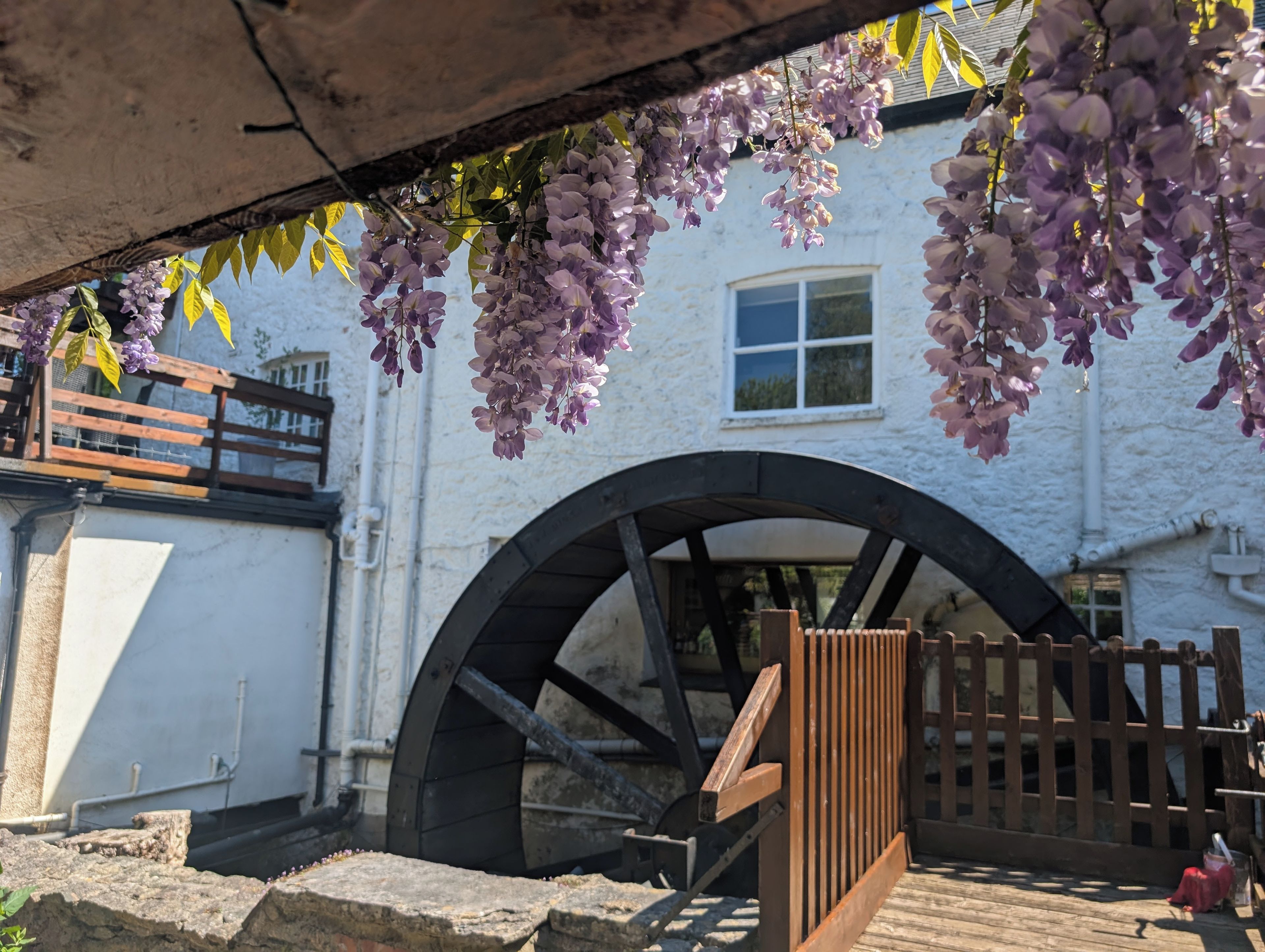 A historic building with a large water wheel, a wooden fence, and hanging purple flowers.