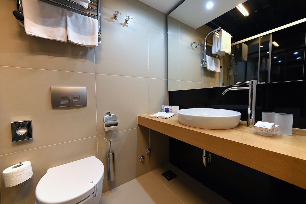 shower, free toiletries, hair dryer, towels