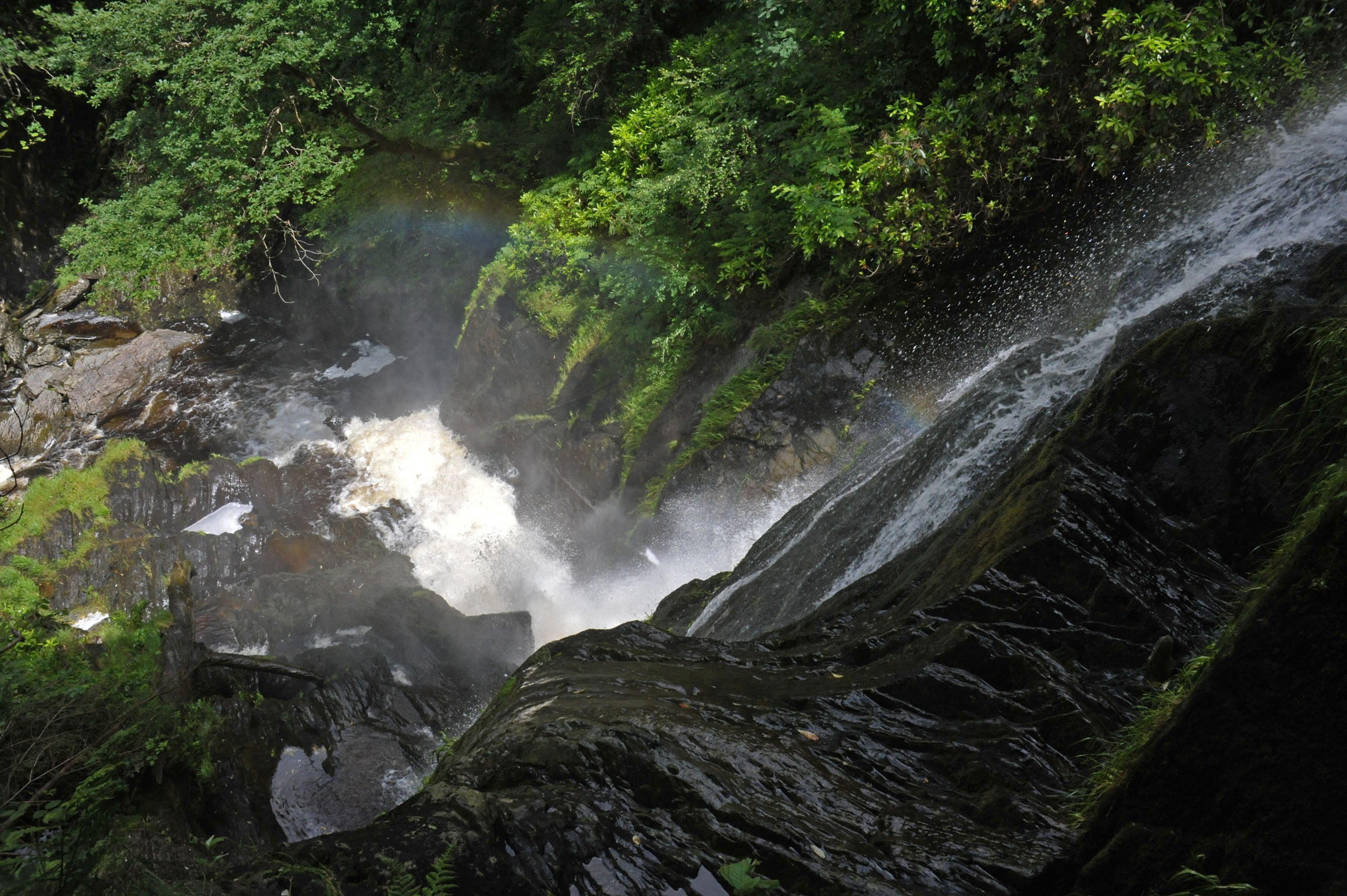 Una cascada fluye sobre rocas en un exuberante bosque verde.