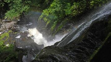 Una cascada fluye sobre rocas en un exuberante bosque verde.