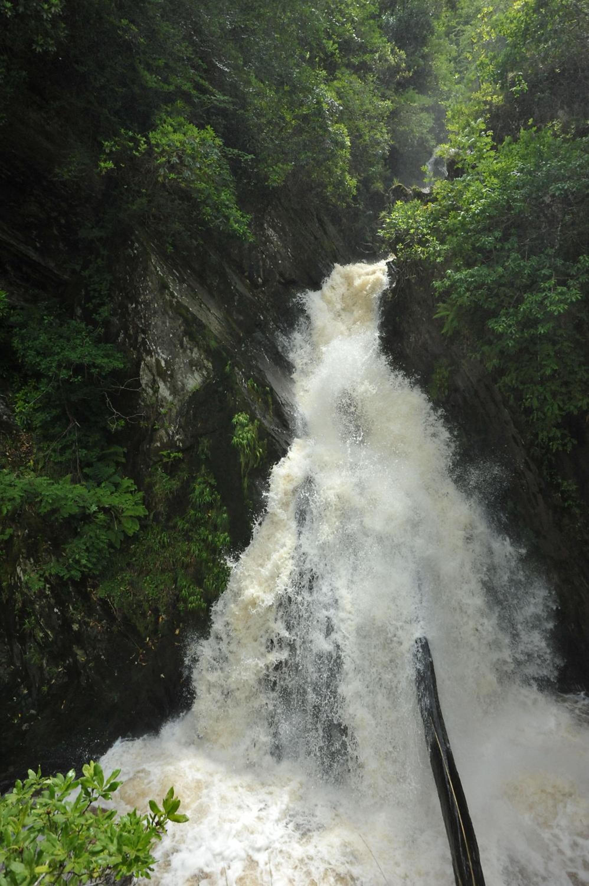 A waterfall cascading down a rocky cliff surrounded by dense greenery.