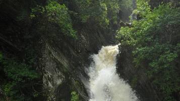 A waterfall cascading down a rocky cliff surrounded by dense greenery.