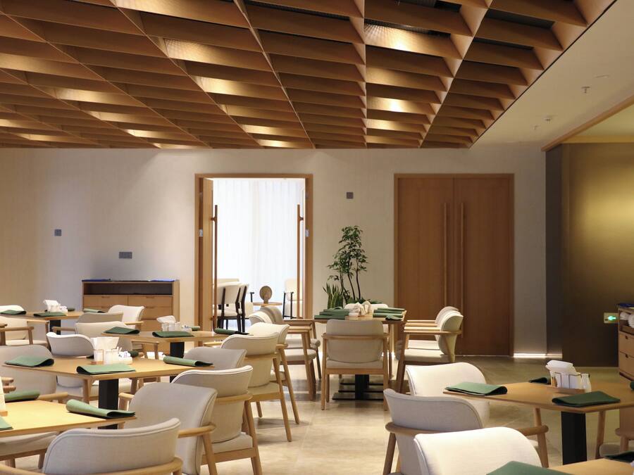 Un aula moderna con escritorios y sillas de madera, y una planta grande.