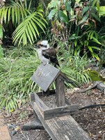 Jardín