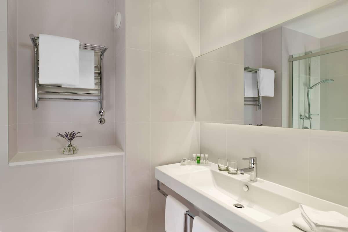 shower, free toiletries, hair dryer, towels