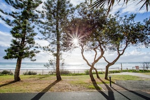 A coastal park with trees, a pathway, and a view of the ocean.