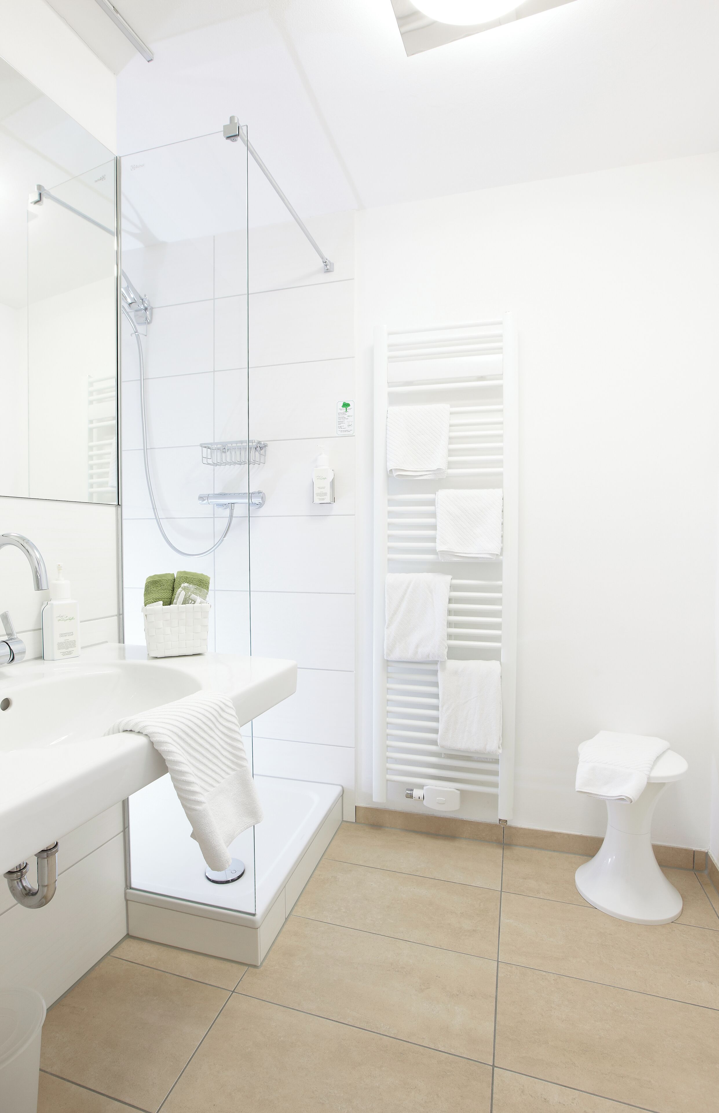 A modern bathroom with a glass shower enclosure, a white sink, and a toilet.