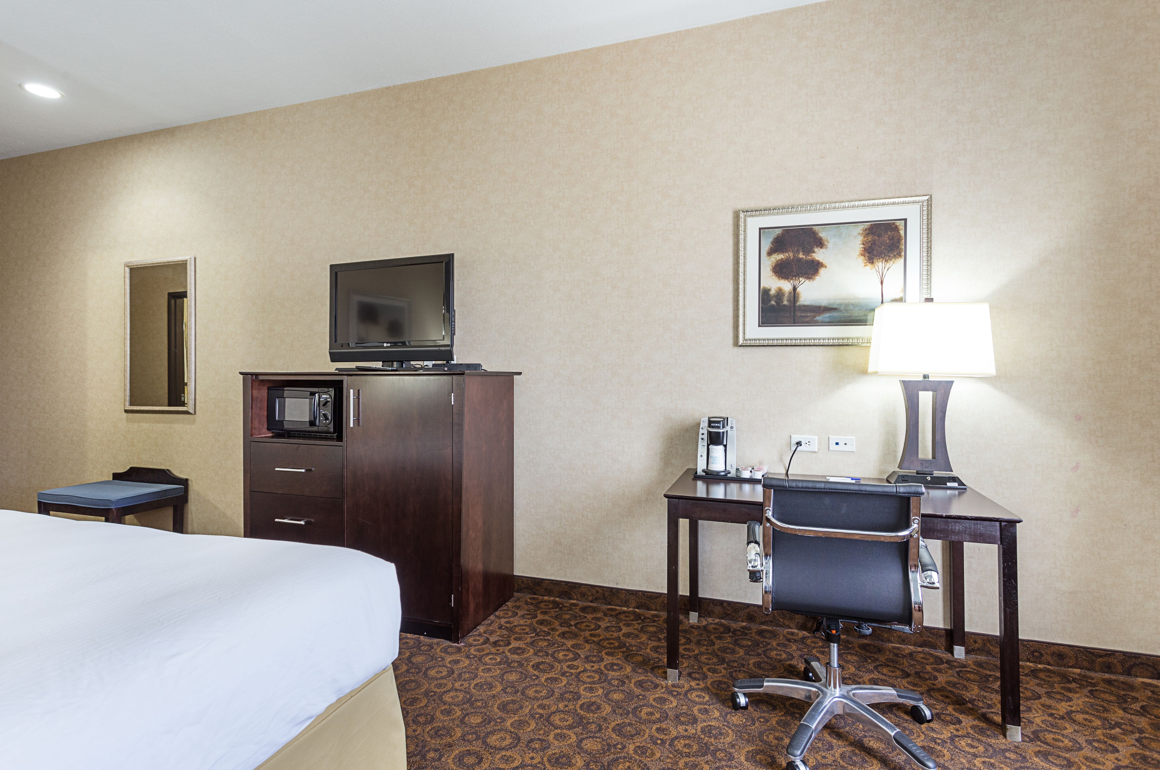 A hotel room with a bed, a desk with a chair, a television, a microwave, a coffee maker, and a framed picture on the wall.