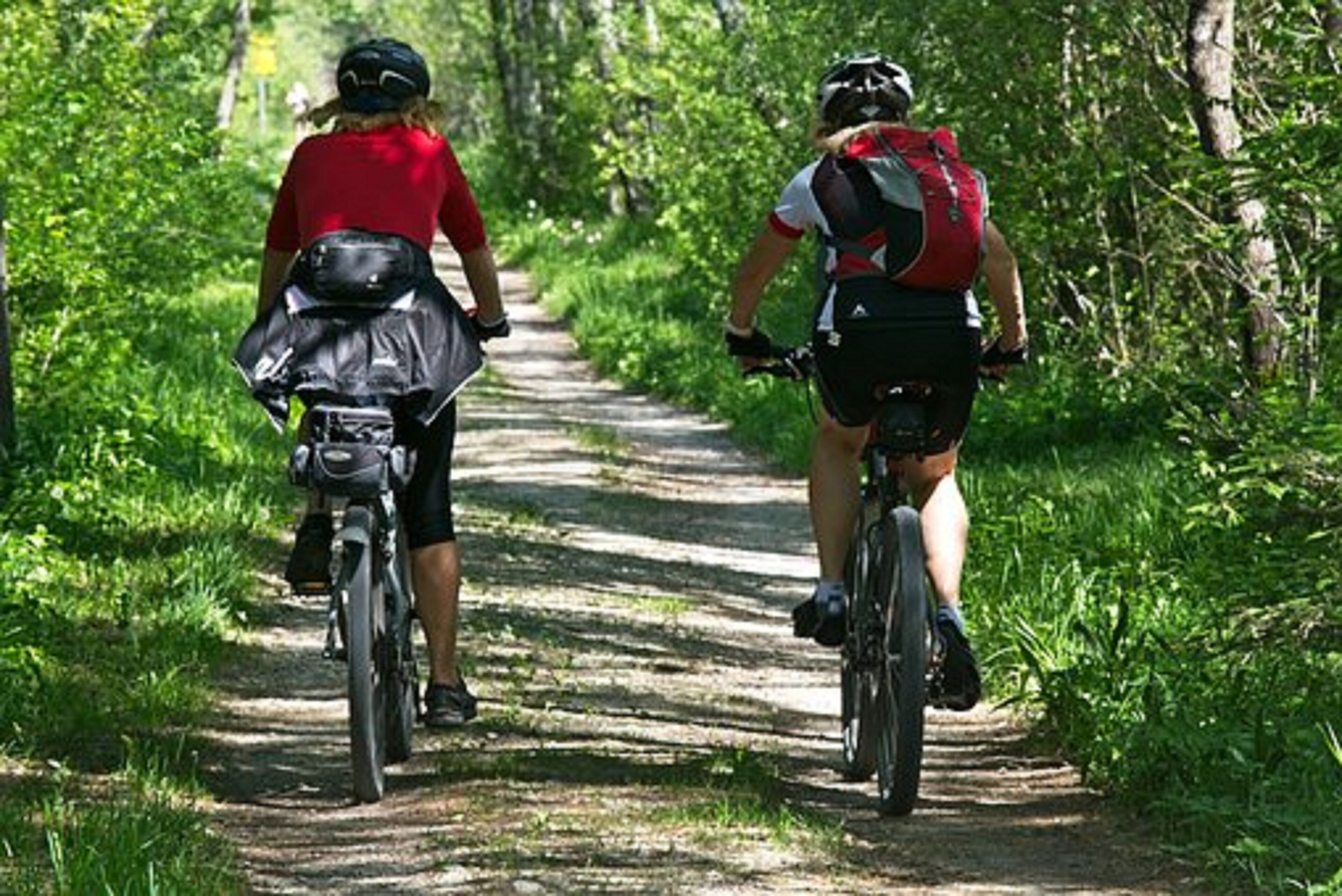 Two cyclists on a narrow, tree-lined path.