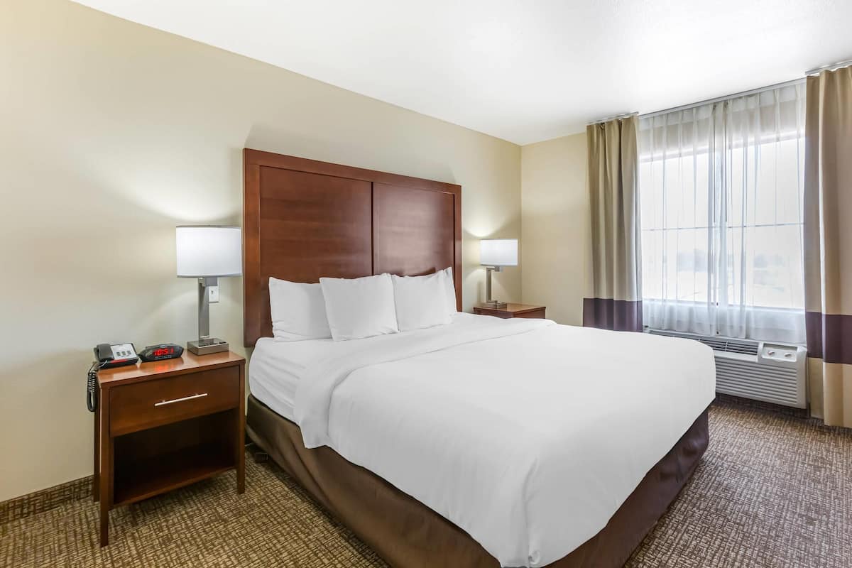 Suite, 1 King Bed with Sofa bed, Accessible, Non Smoking | Premium bedding, laptop workspace, blackout drapes, iron/ironing board