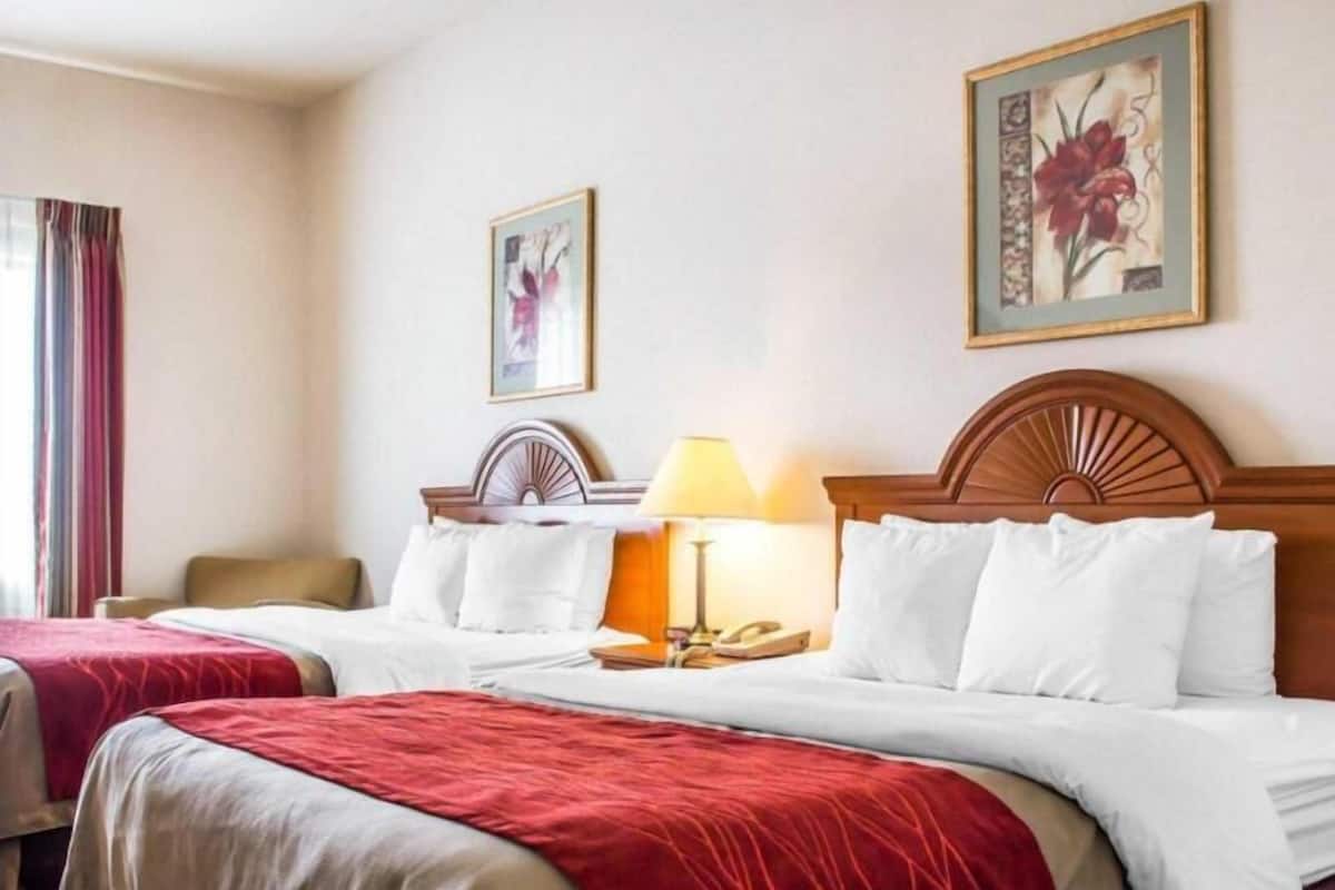 A hotel room with two beds, a nightstand, a lamp, and two framed floral paintings on the walls.