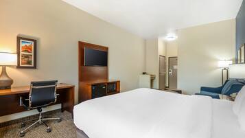 A hotel room with a bed, desk, chair, TV, and a shower area.