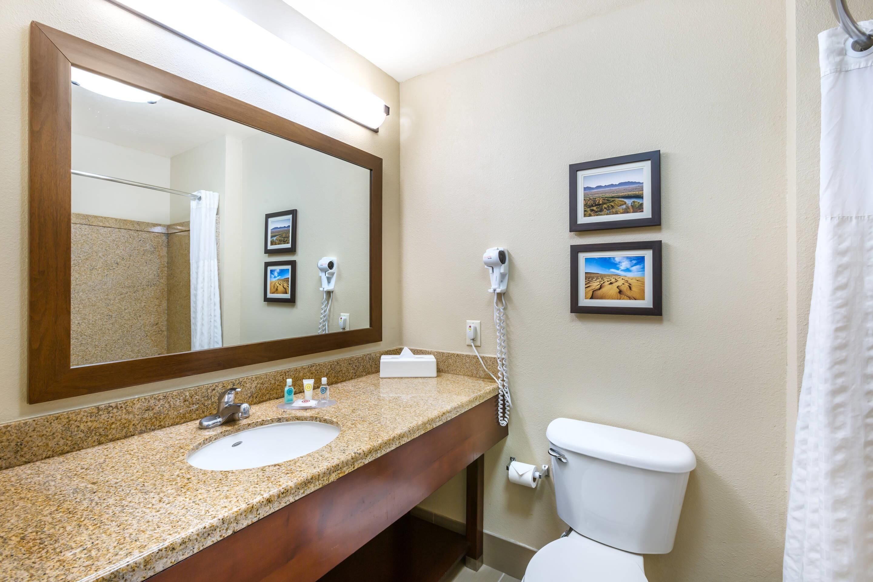 A bathroom with a granite countertop sink, a mirror, a toilet, and two framed pictures on the wall.
