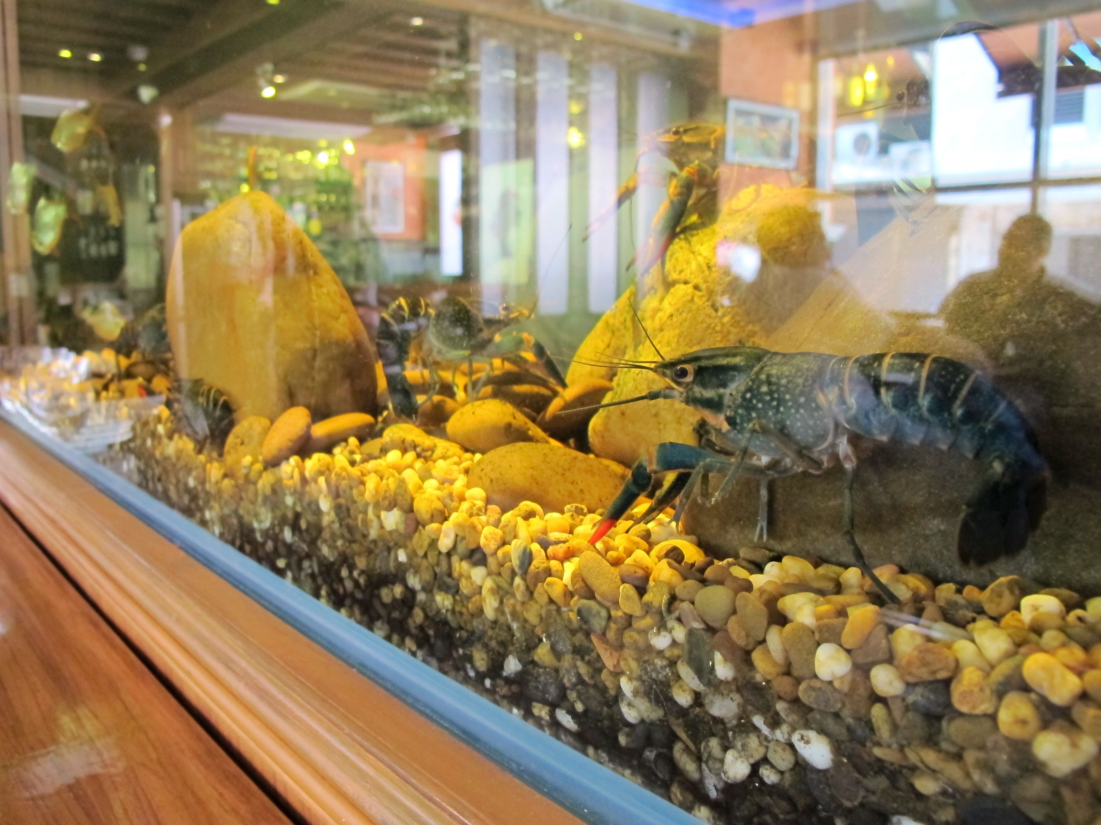 Foto - Bourbon St. Boutique Hotel