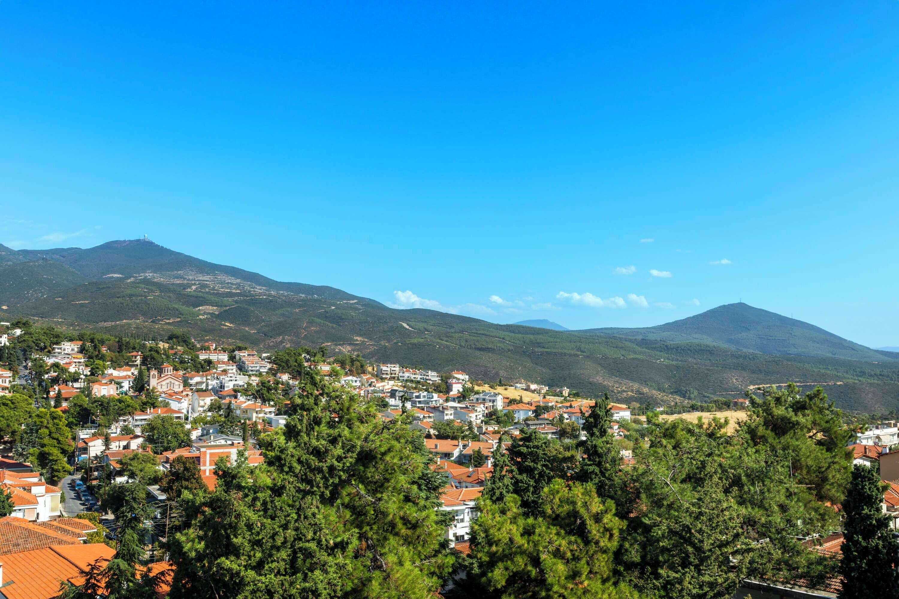 A town with red-roofed buildings, a mountain in the background, and green trees in the foreground.
