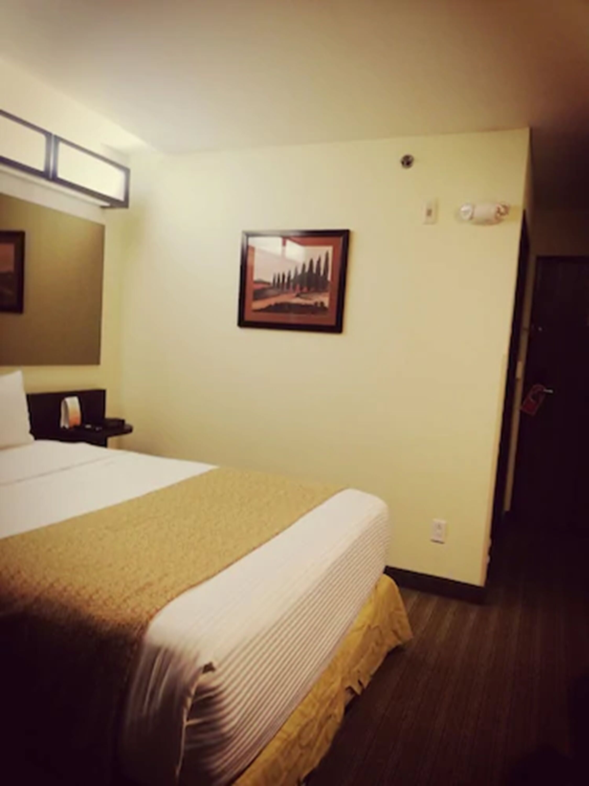 A hotel room with a large bed, a bedside table, a nightstand, a framed picture on the wall, and a door.