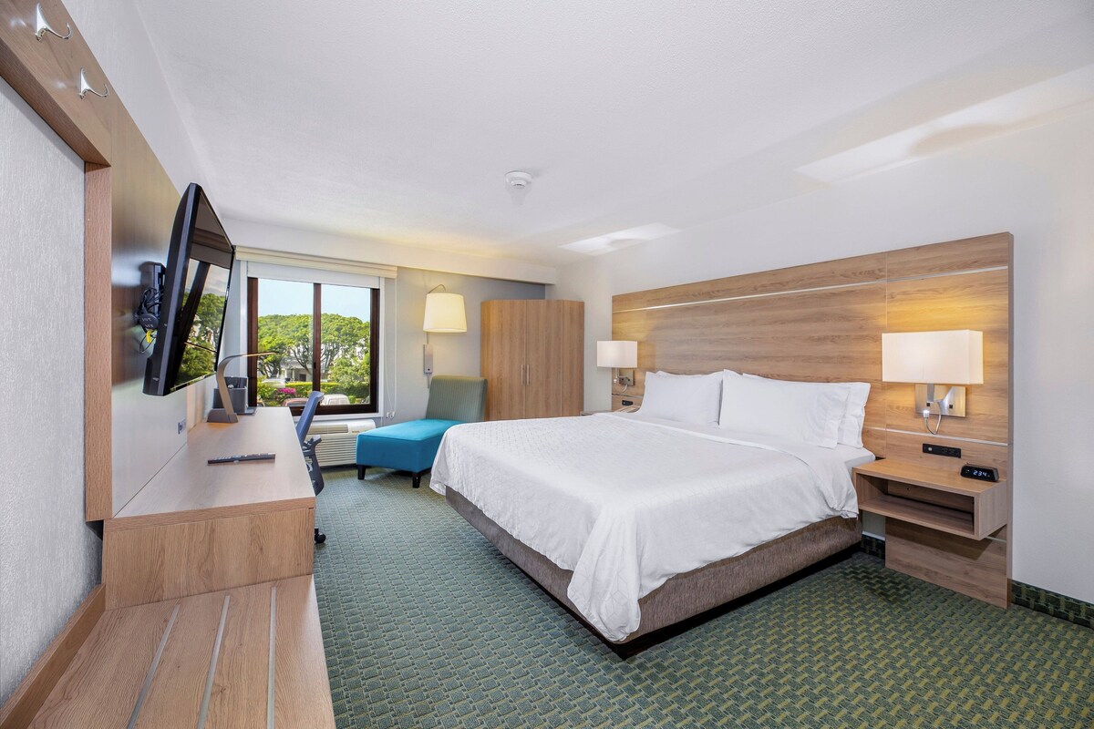 A hotel room with a bed, a desk, a TV, and a window with a view of trees.