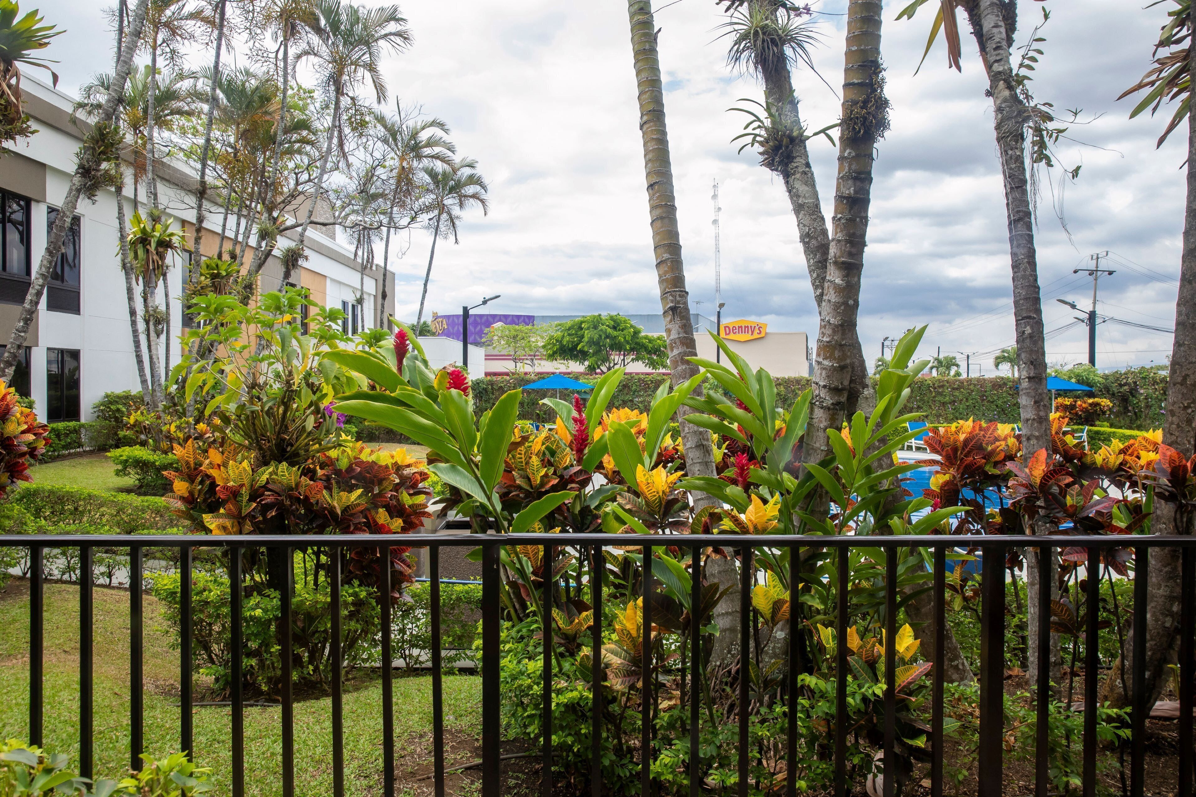 standard room, 1 king bed, refrigerator & microwave | 1 bedroom, premium bedding, in-room safe, desk