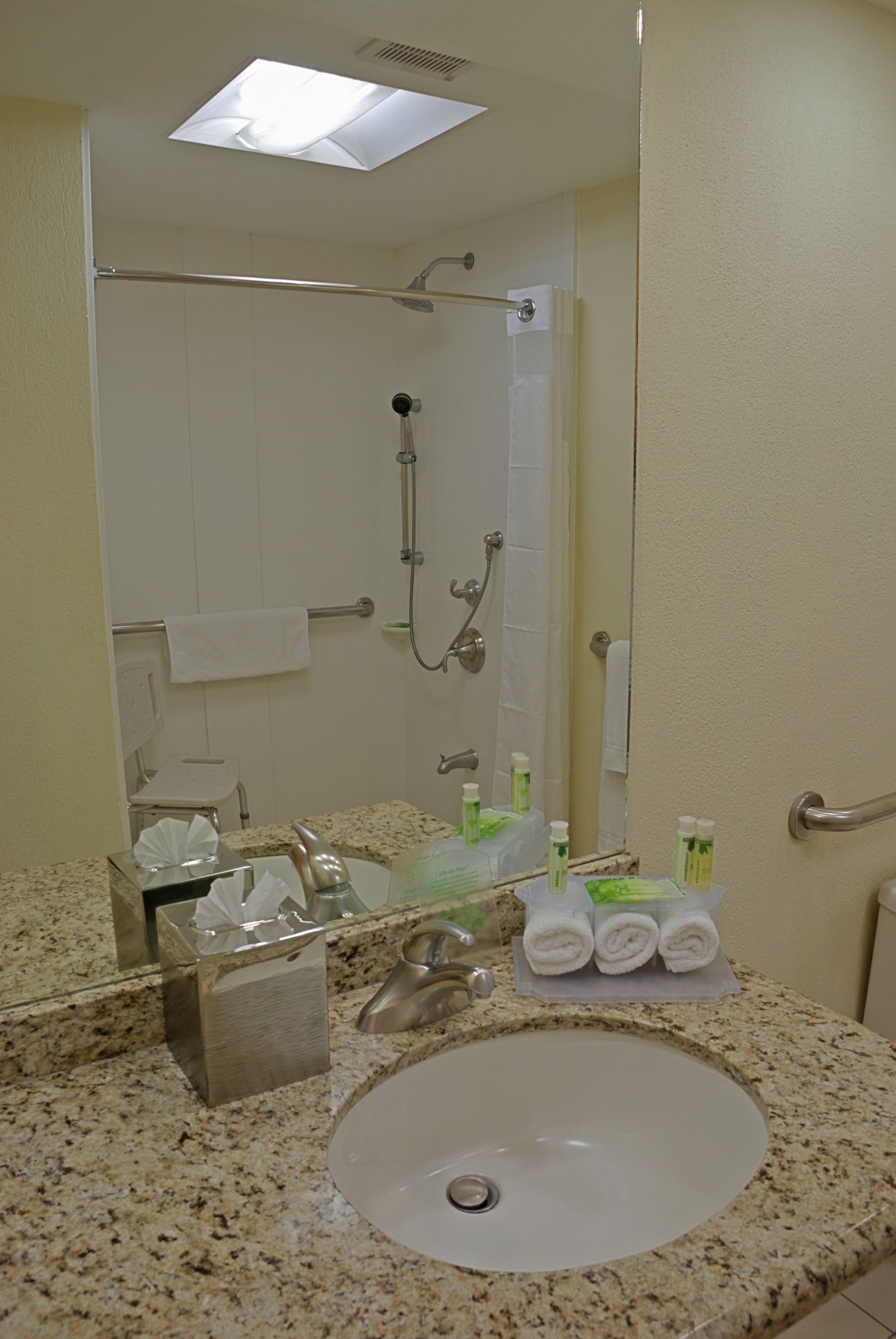 Standard Room, 1 King Bed, Accessible, Non Smoking (Communications) | Bathroom | Rainfall showerhead, designer toiletries, hair dryer, towels
