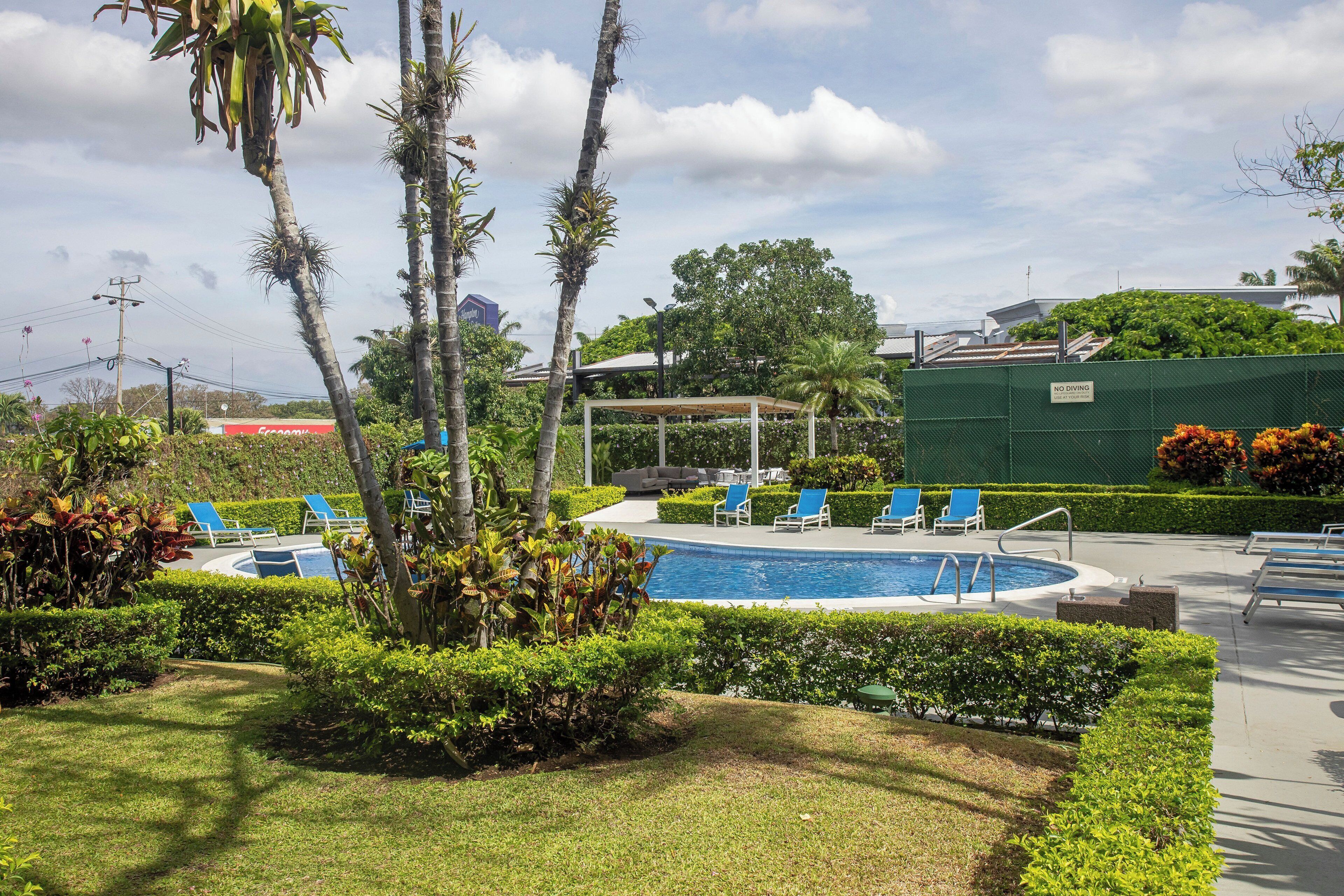 Outdoor pool, sun loungers