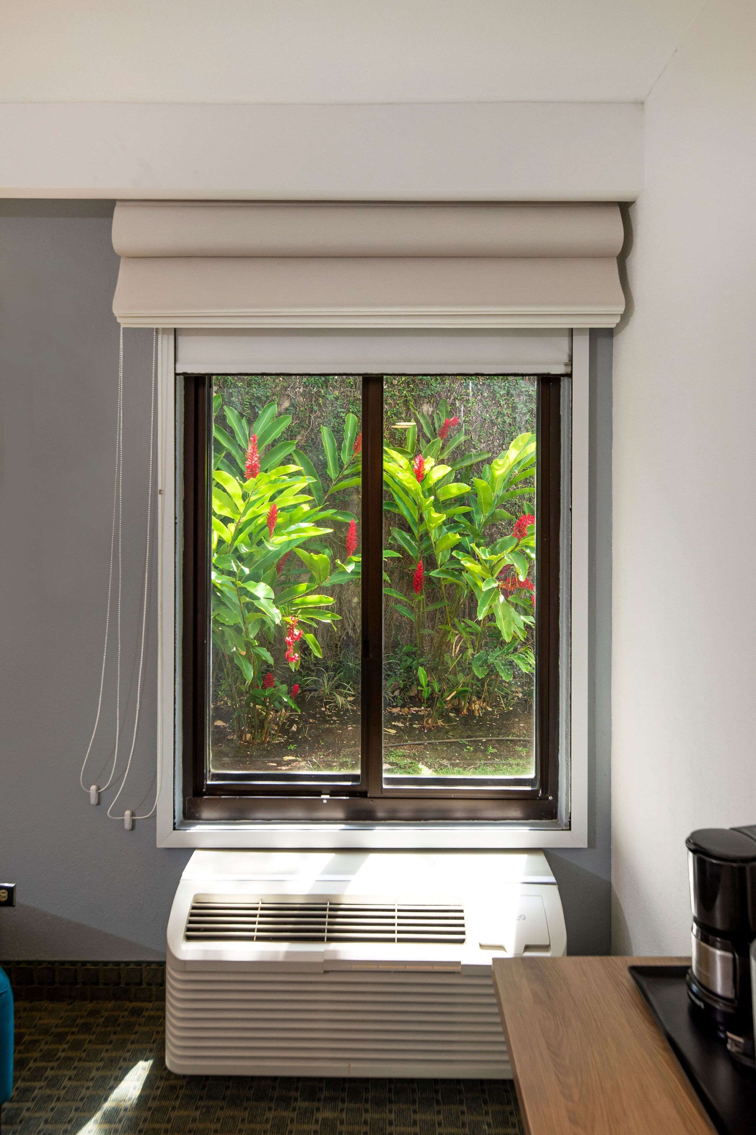 1 bedroom, premium bedding, in-room safe, desk