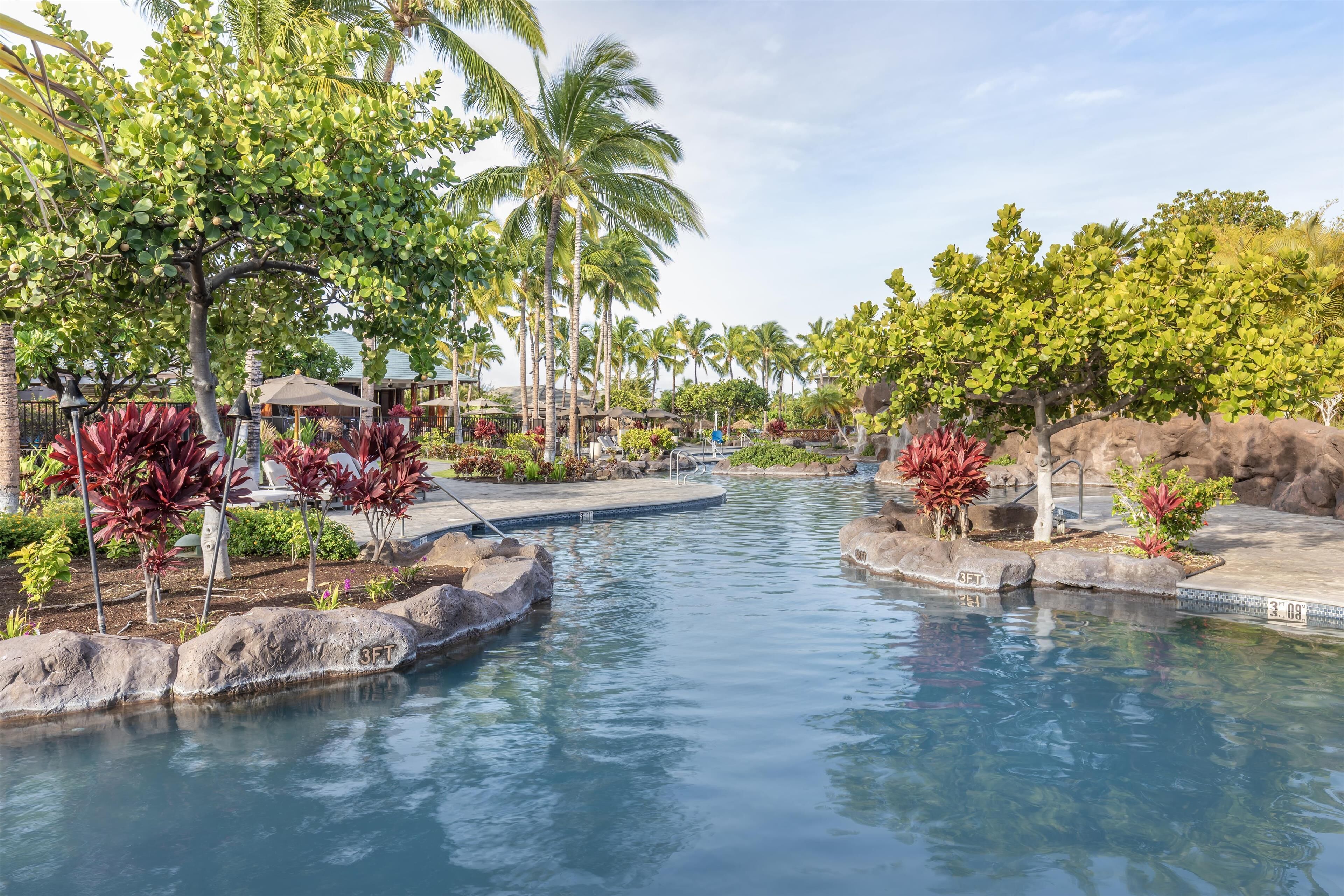 A pool area with clear water, surrounded by tropical plants and palm trees.