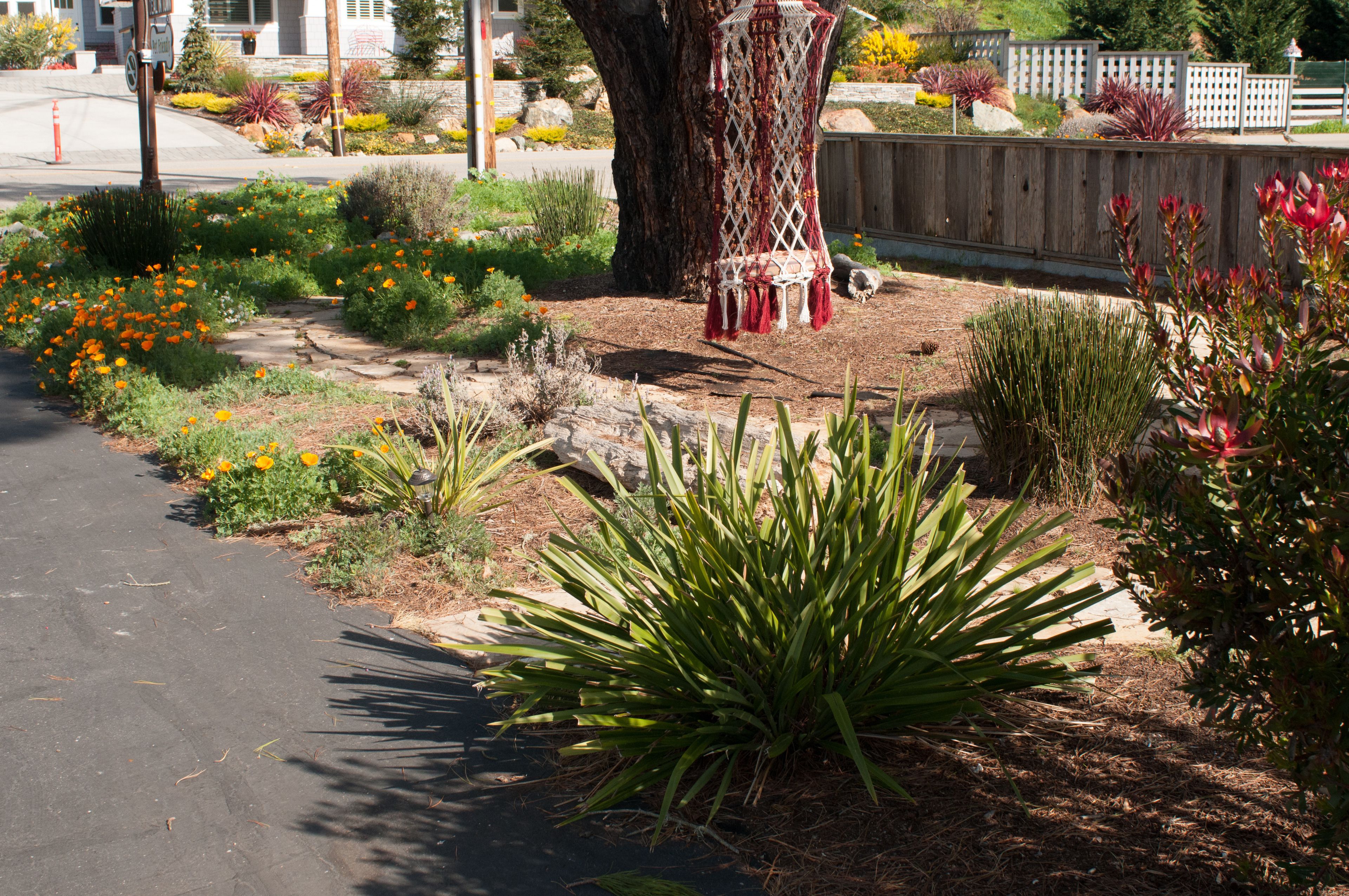 A garden with various plants and a decorative structure.