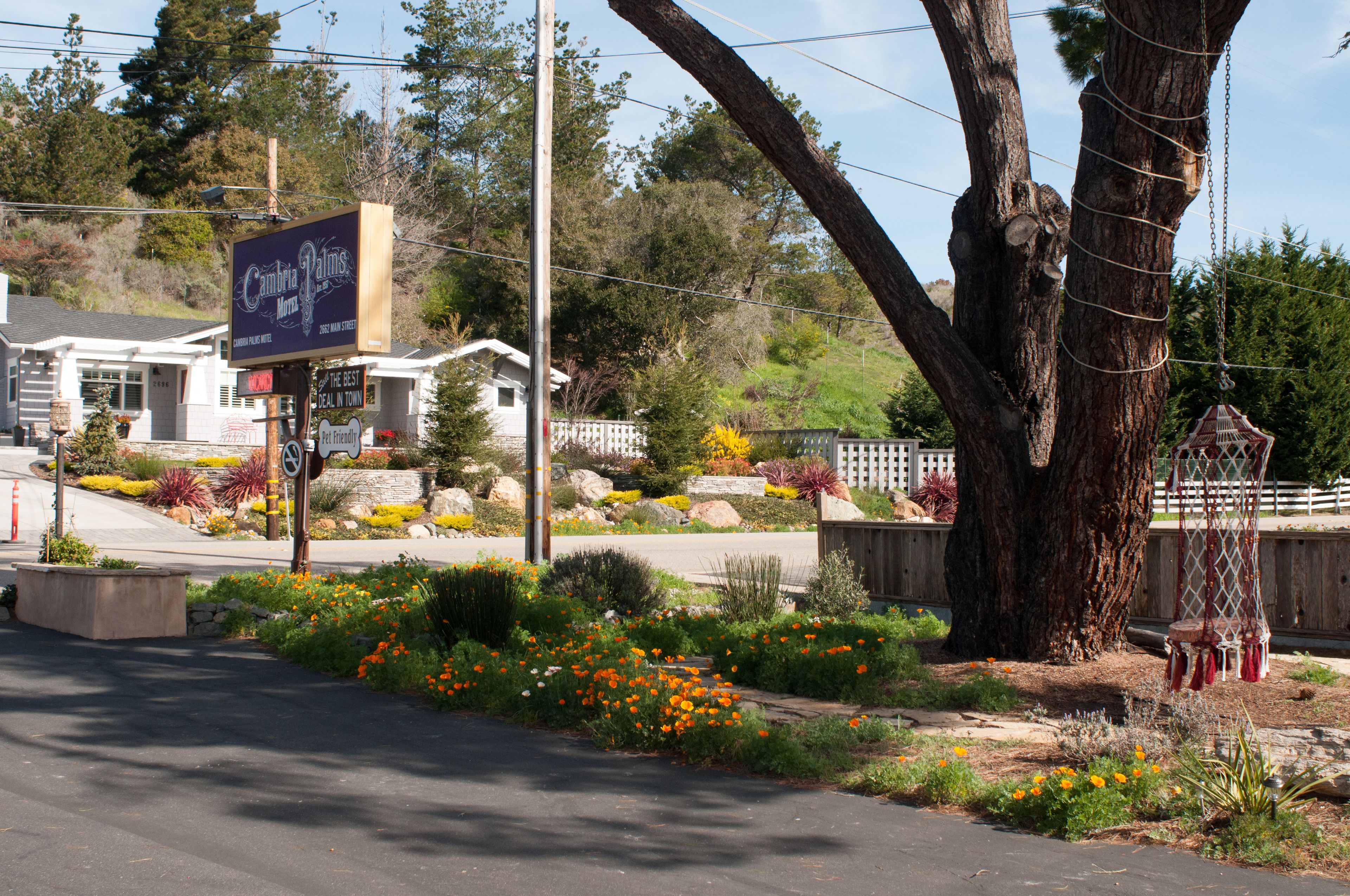 A roadside view of a building with a signboard advertising 'Cambria Palms'.