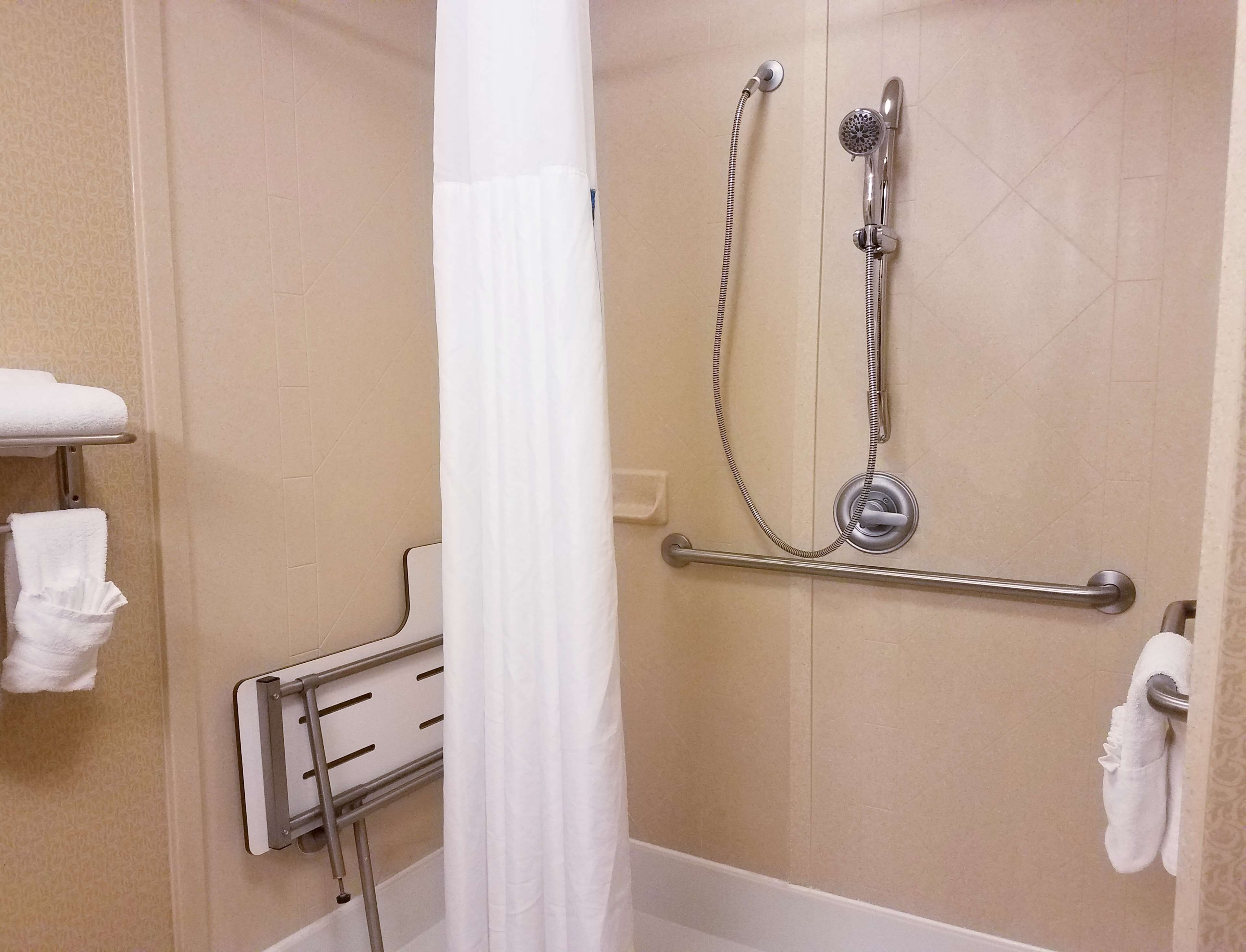 room, 1 king bed, accessible, non smoking | bathroom shower