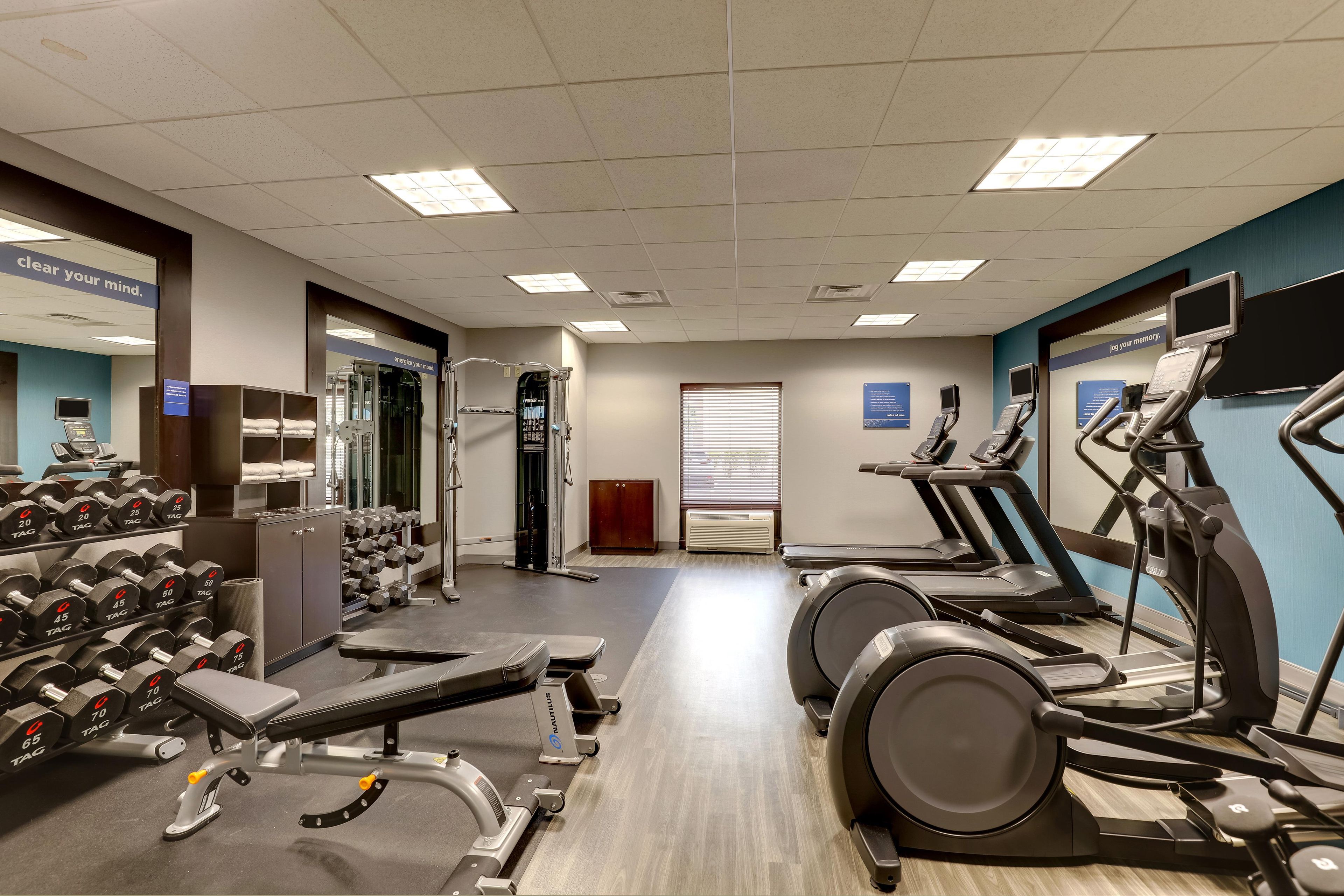 A gym with treadmills, dumbbells, and weight machines.