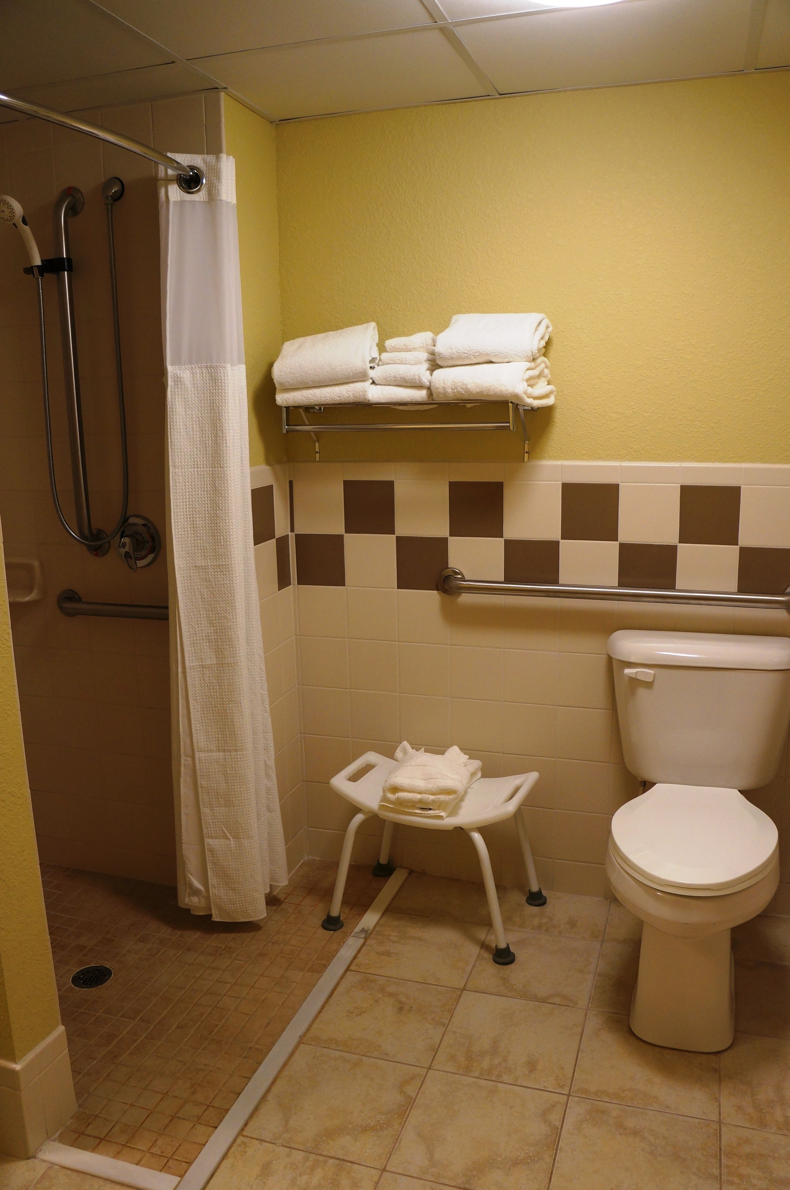A bathroom with a shower, a toilet, and a small bench.
